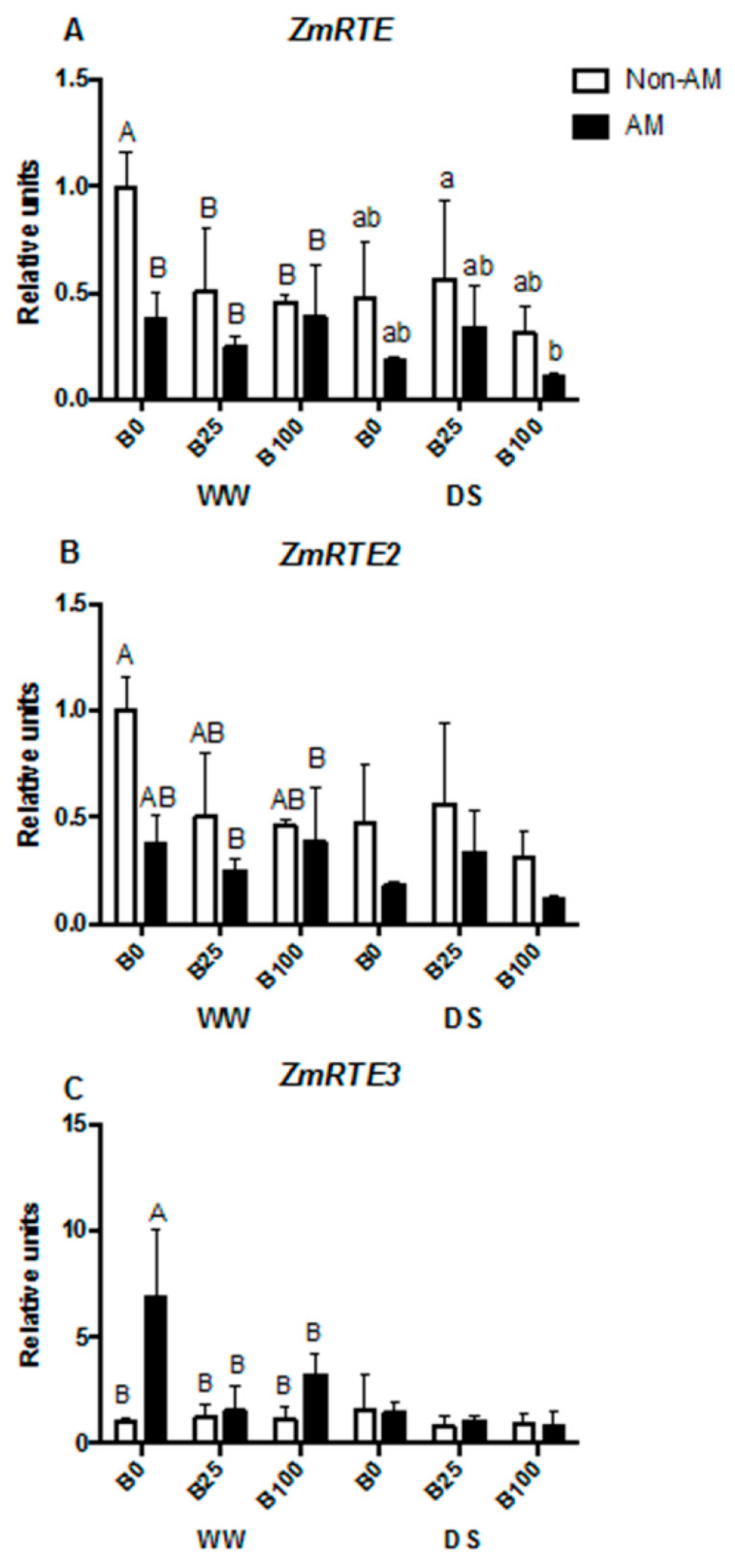 Ijms 21 01748 g005 Ijms 21 01748 g005
