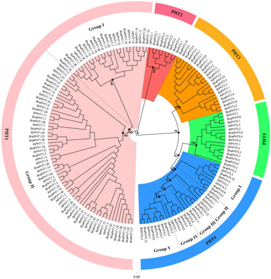 Ijms 21 01752 g001 550