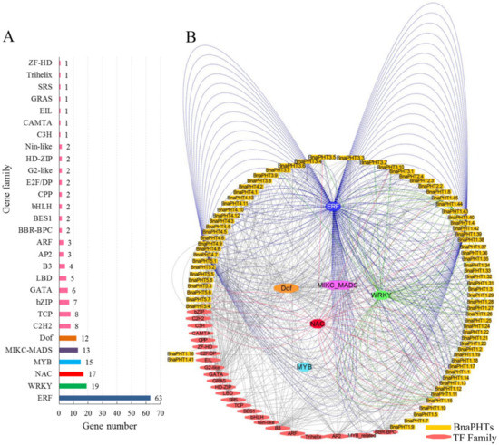 Ijms 21 01752 g005 550