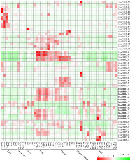 Ijms 21 01752 g006 550