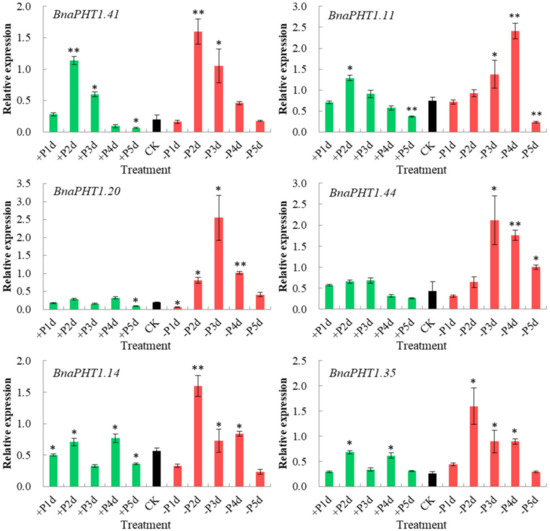 Ijms 21 01752 g008 550