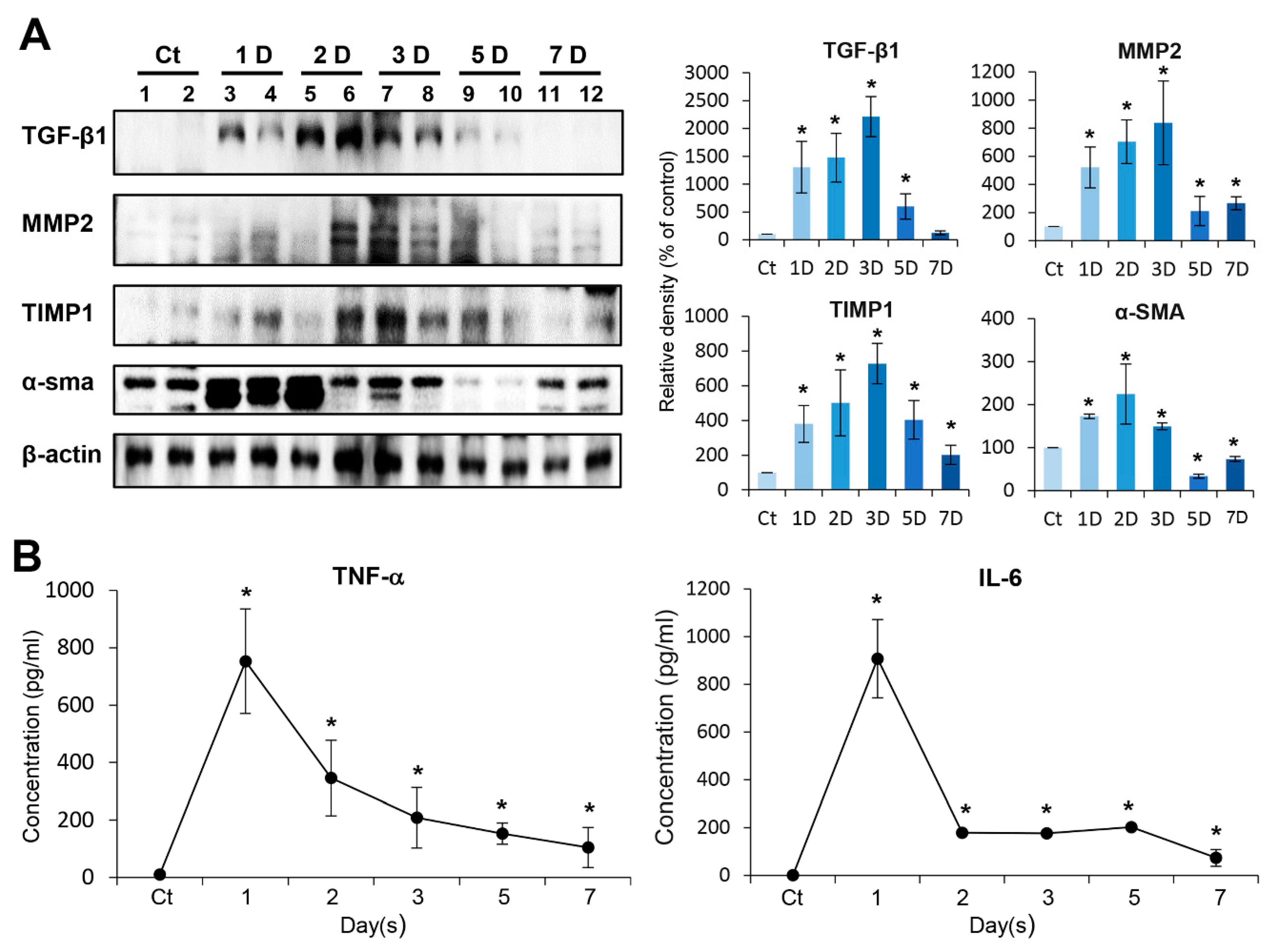 Ijms 21 01759 g002 Ijms 21 01759 g002