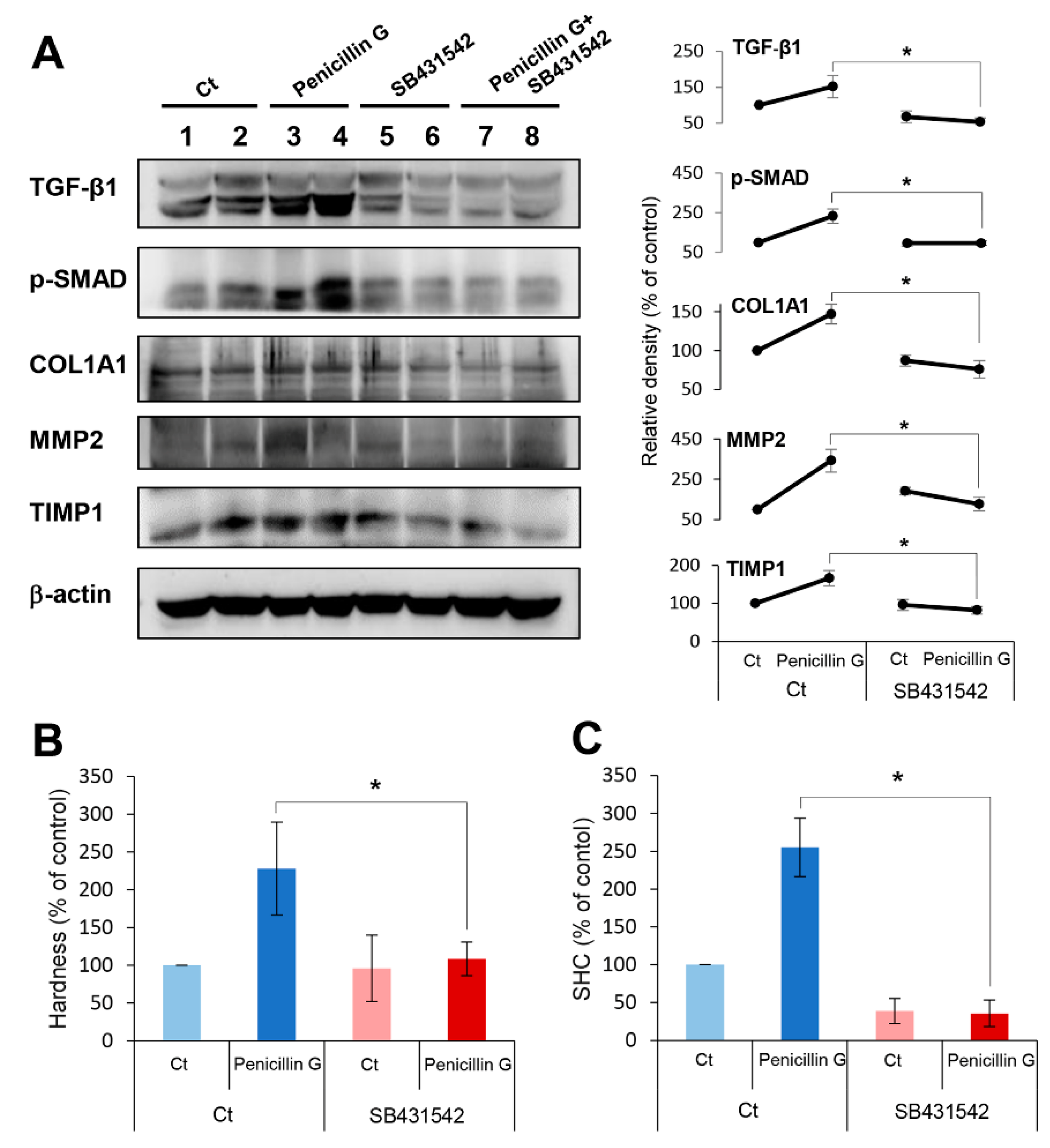Ijms 21 01759 g006 Ijms 21 01759 g006