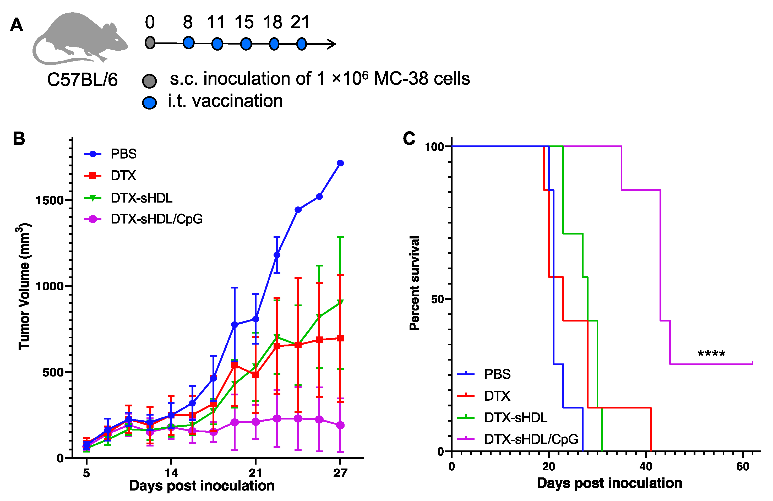 Ijms 21 01777 g003 Ijms 21 01777 g003