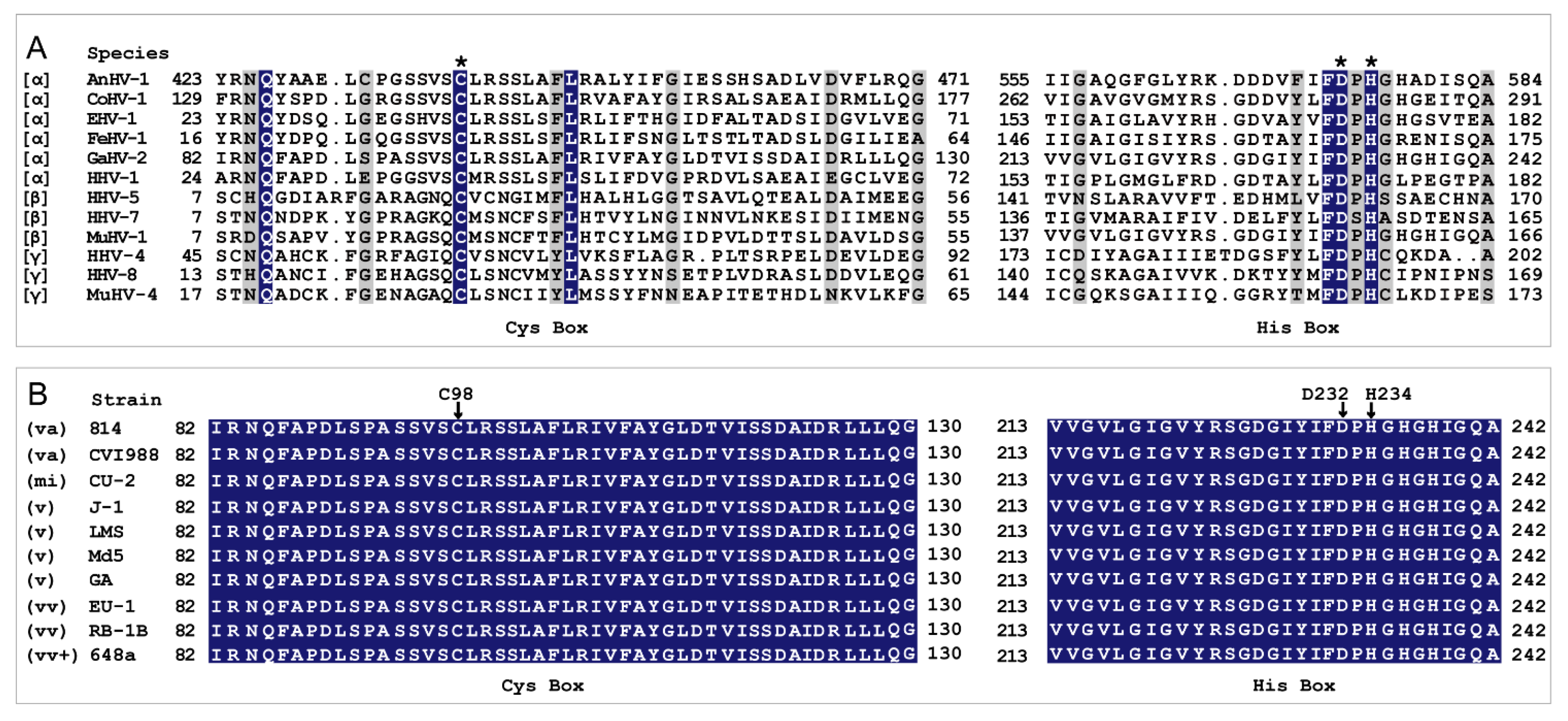 Ijms 21 01783 g001 Ijms 21 01783 g001