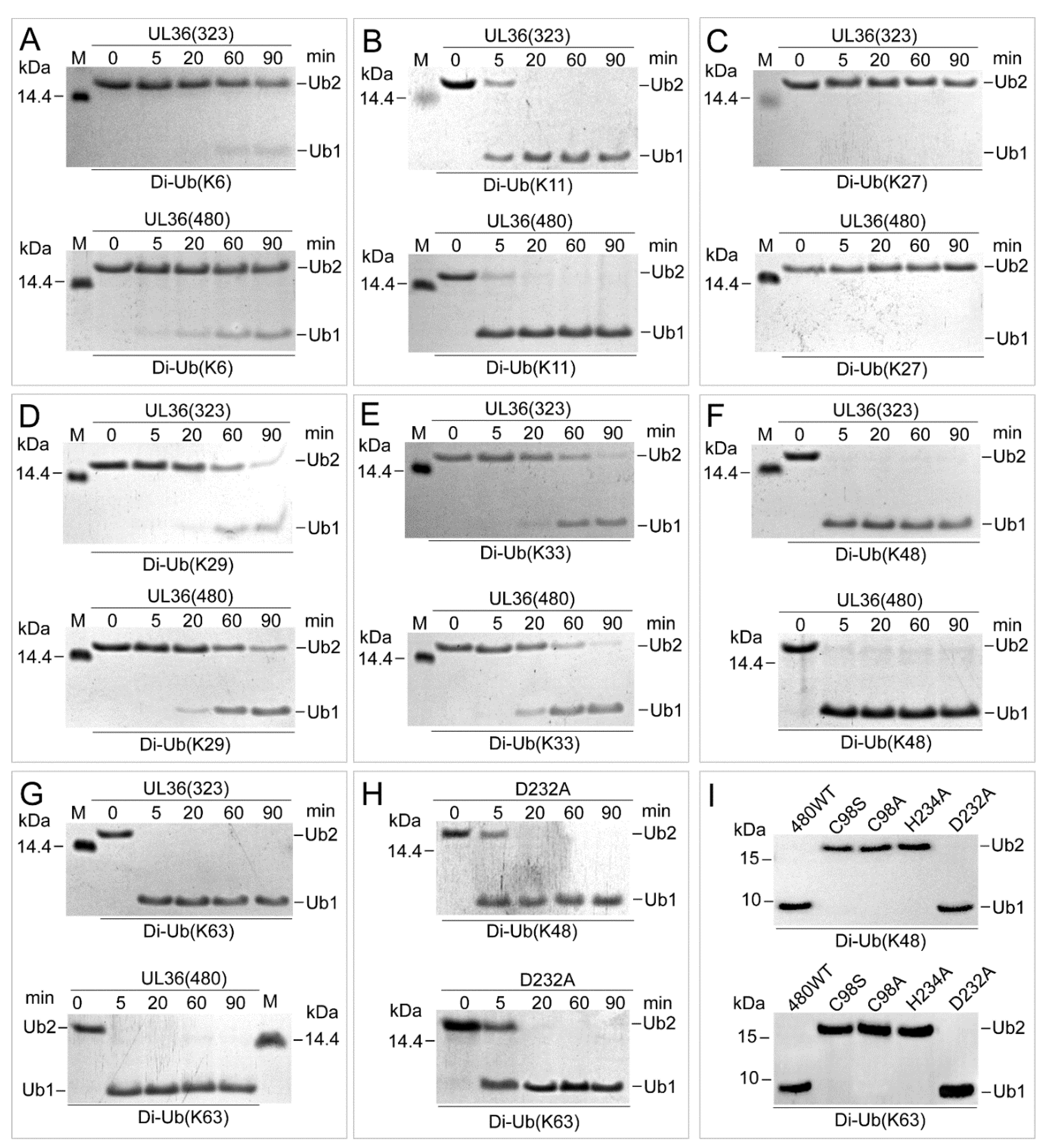 Ijms 21 01783 g003 Ijms 21 01783 g003