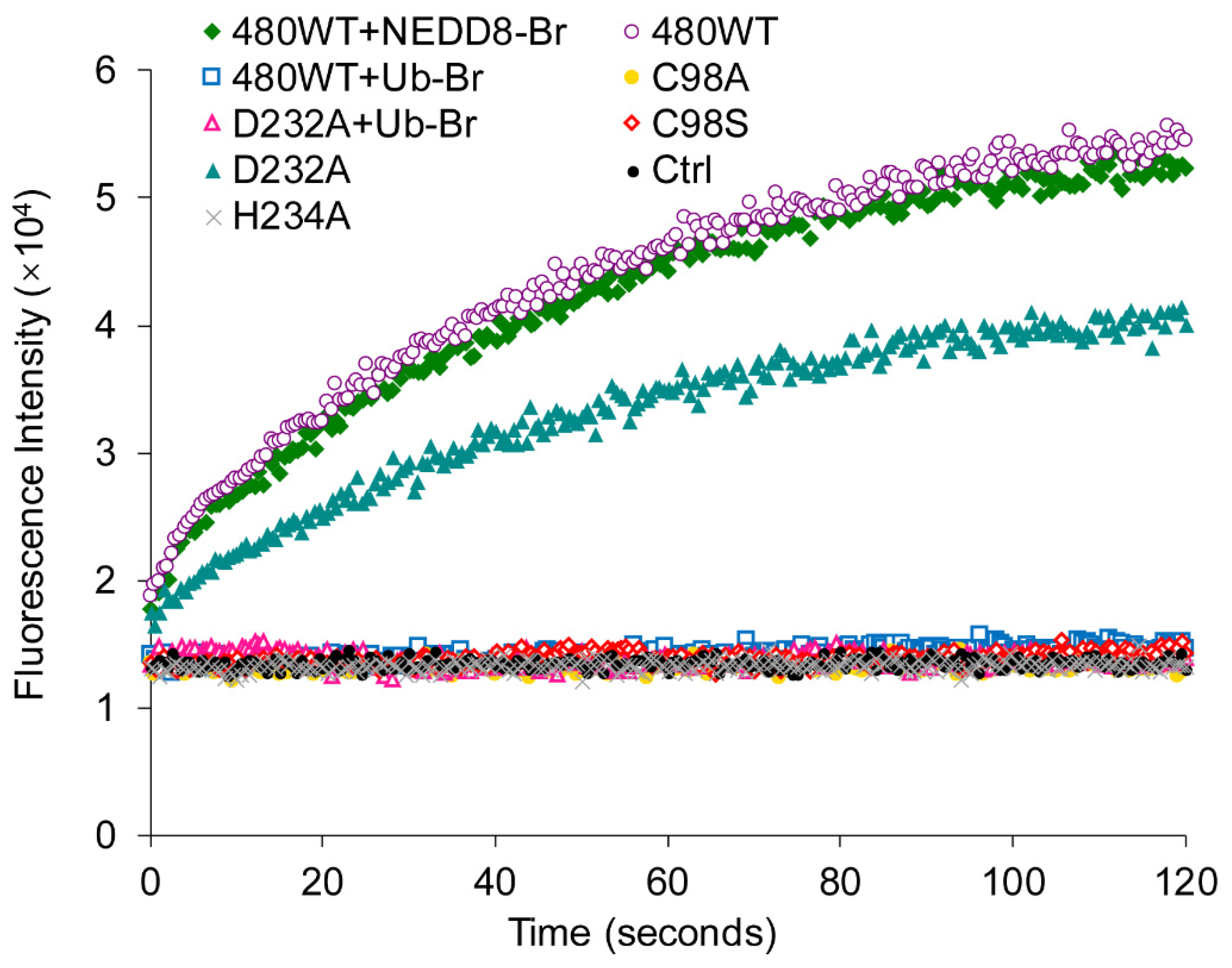 Ijms 21 01783 g008 Ijms 21 01783 g008