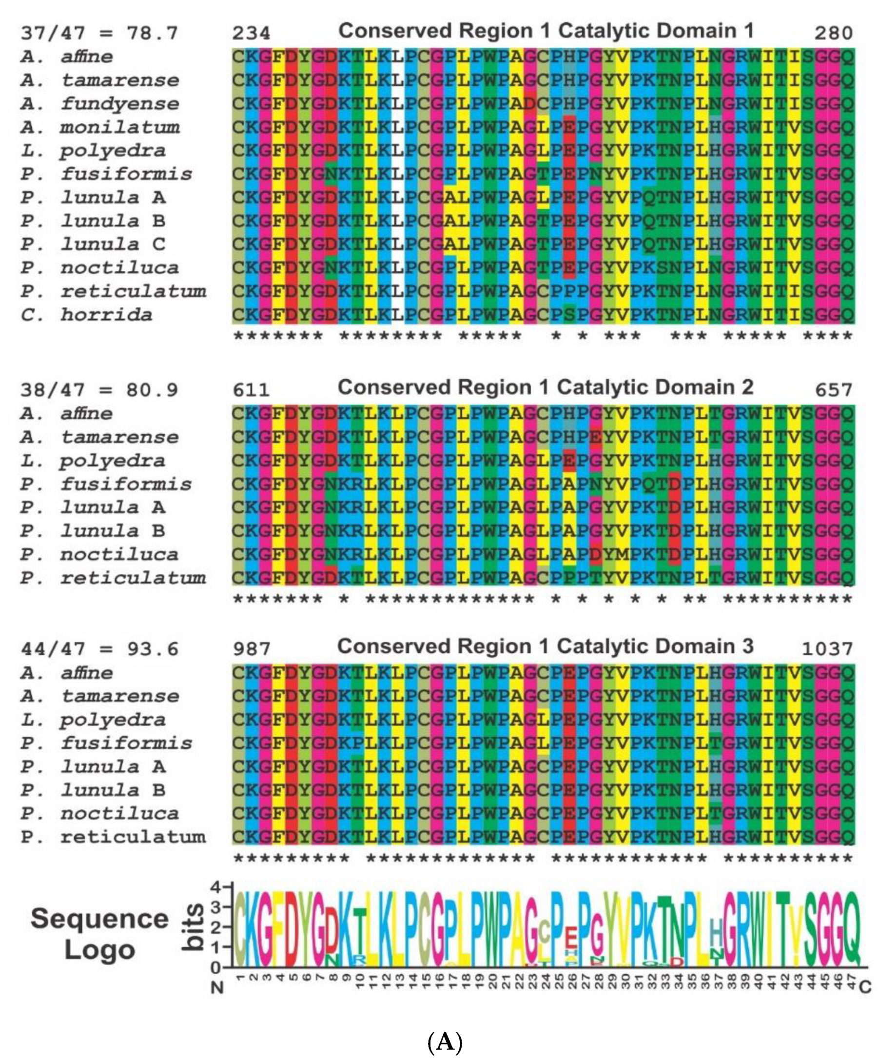 Ijms 21 01784 g003a Ijms 21 01784 g003a