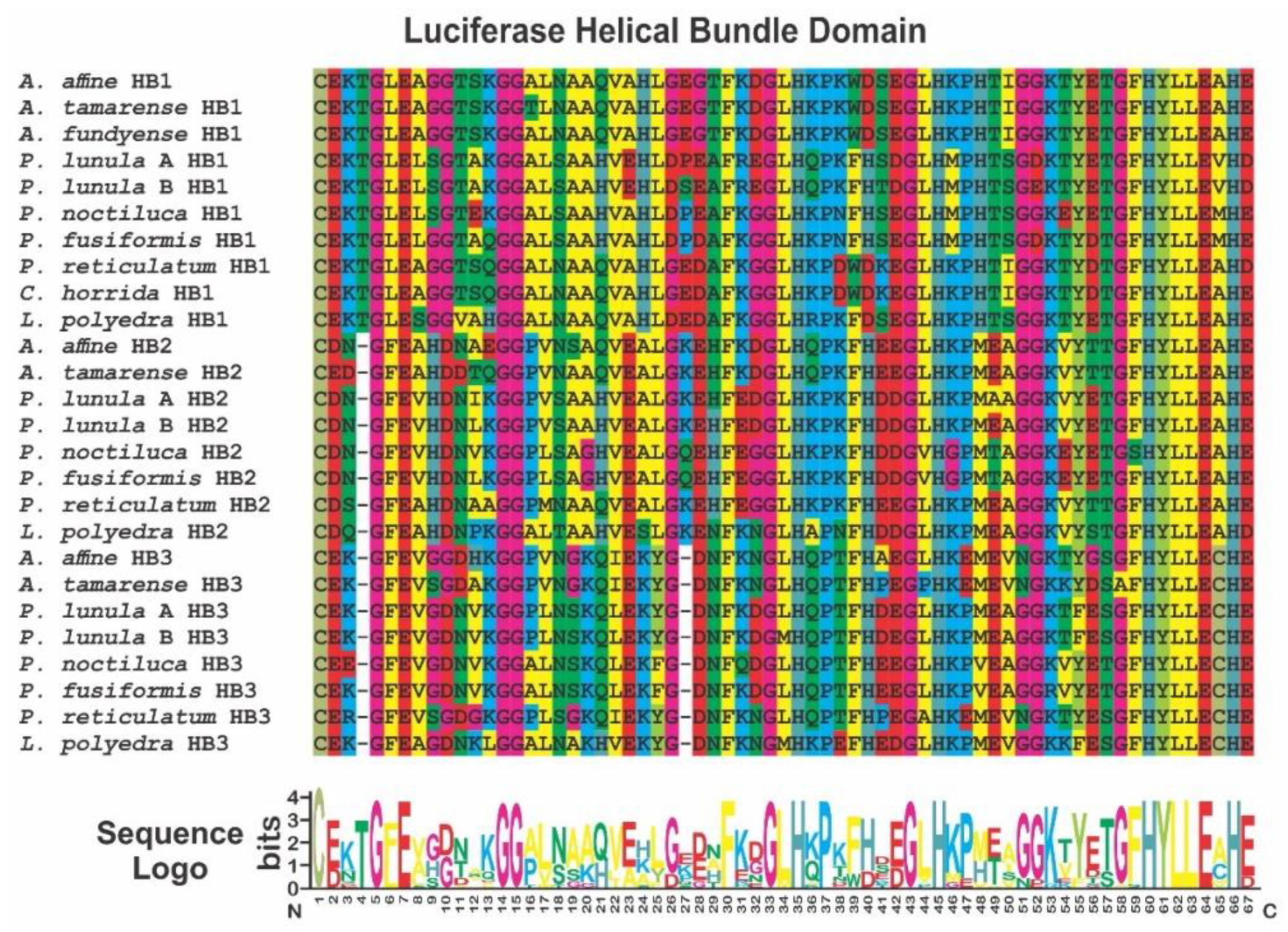 Ijms 21 01784 g006 Ijms 21 01784 g006
