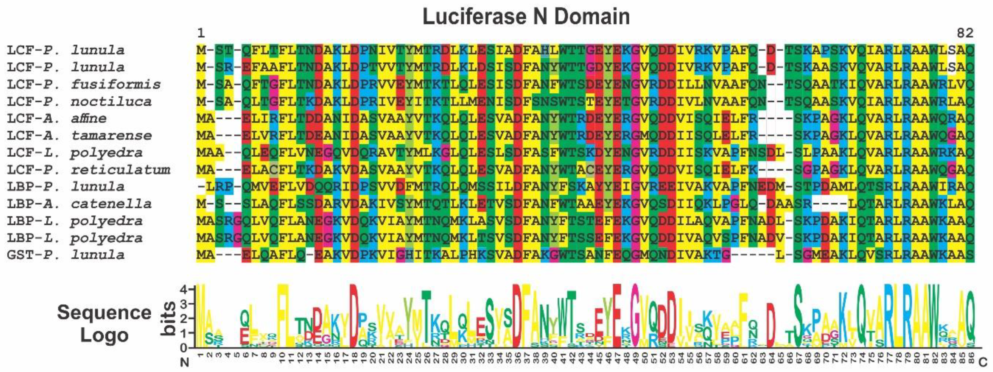 Ijms 21 01784 g008 Ijms 21 01784 g008