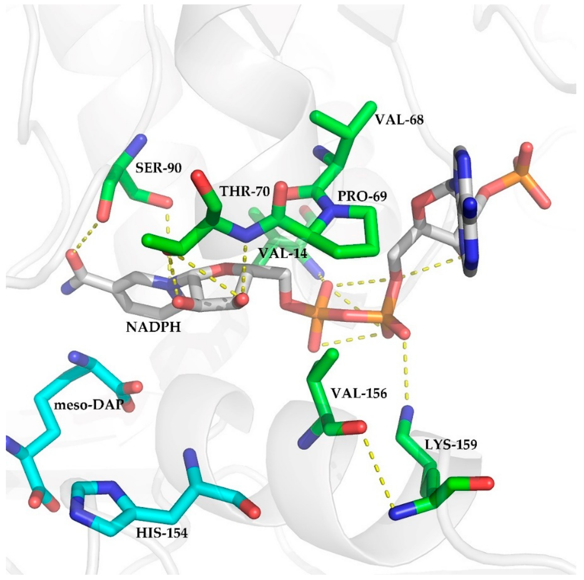 Ijms 21 01788 g002 Ijms 21 01788 g002