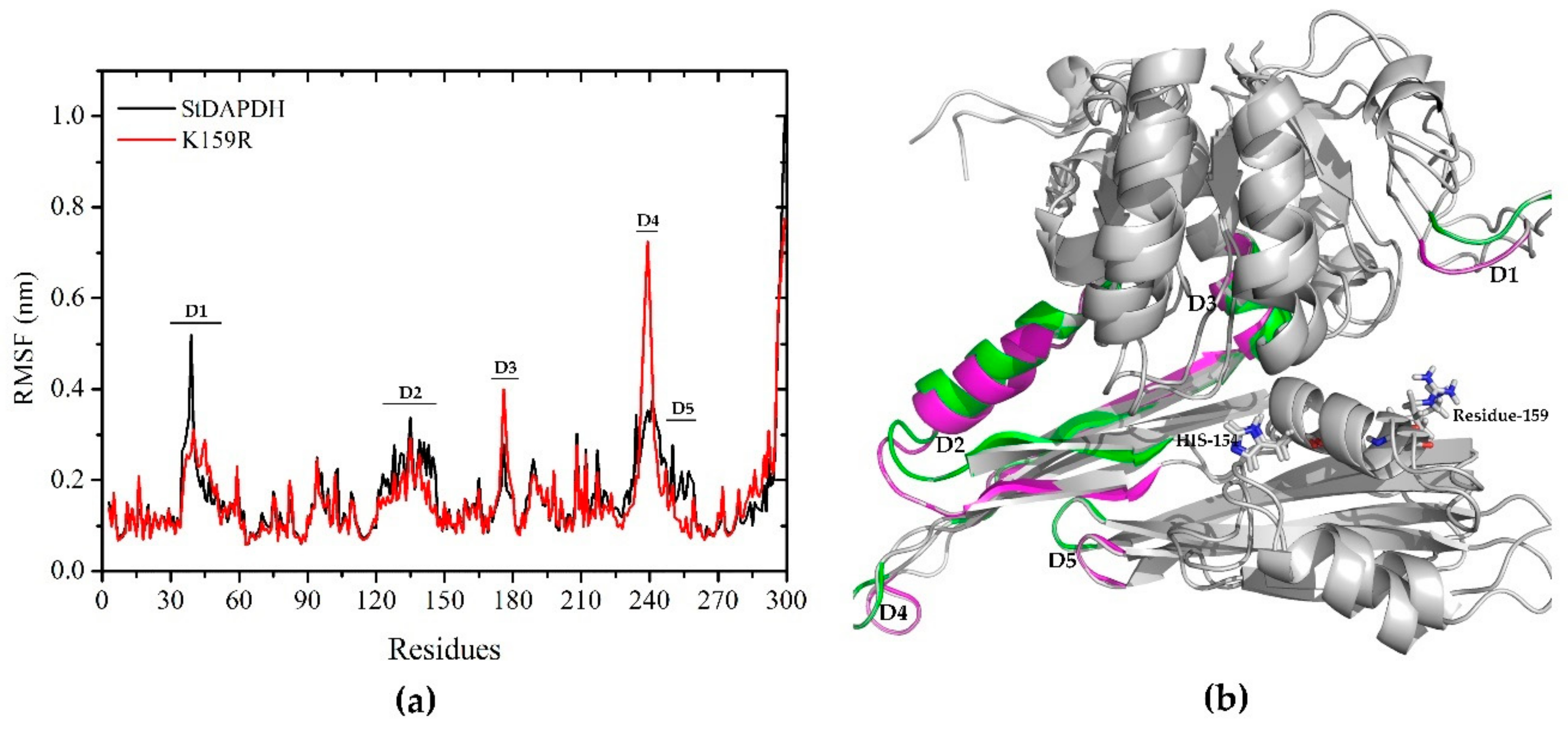 Ijms 21 01788 g004 Ijms 21 01788 g004