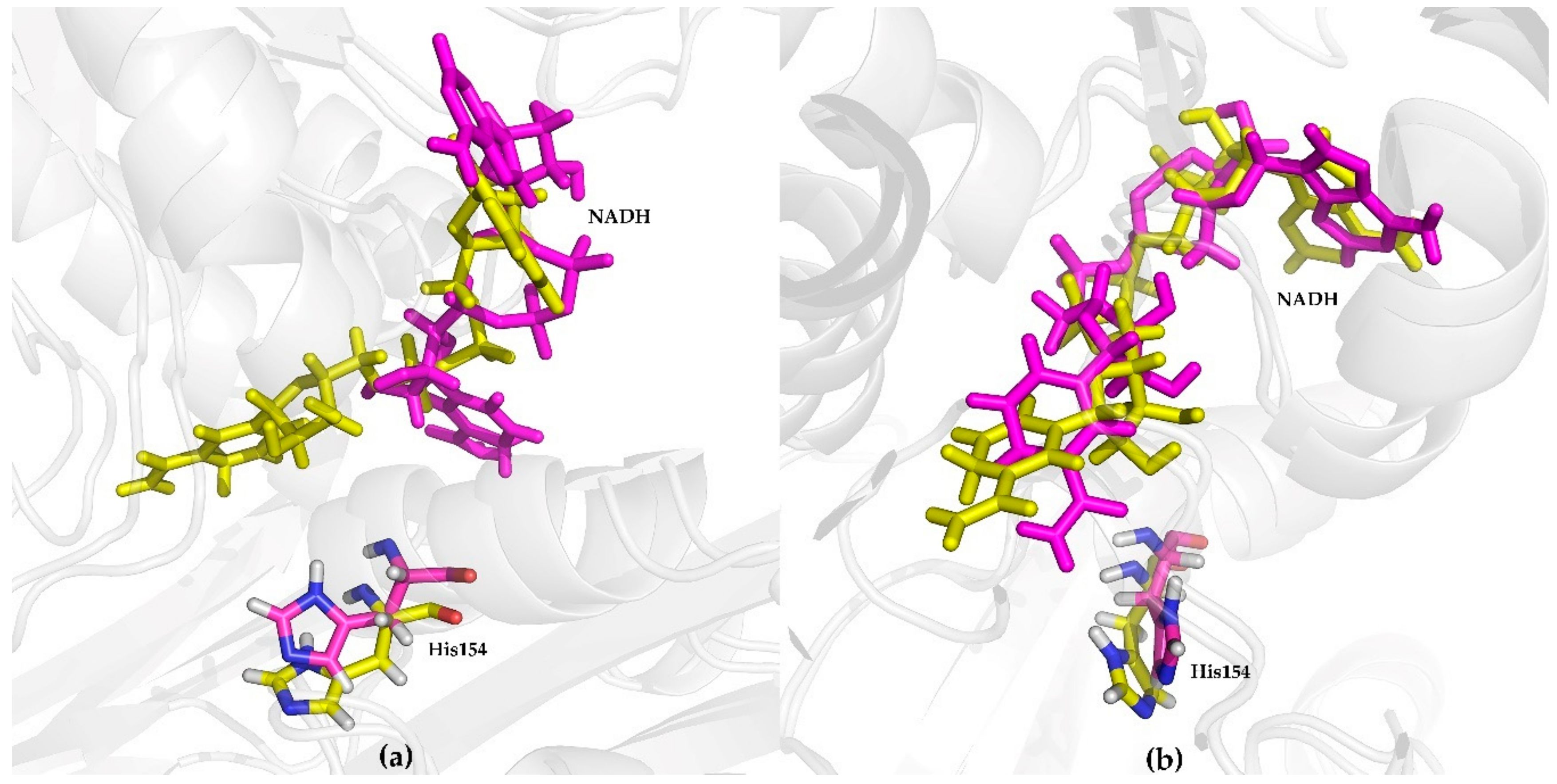 Ijms 21 01788 g005 Ijms 21 01788 g005