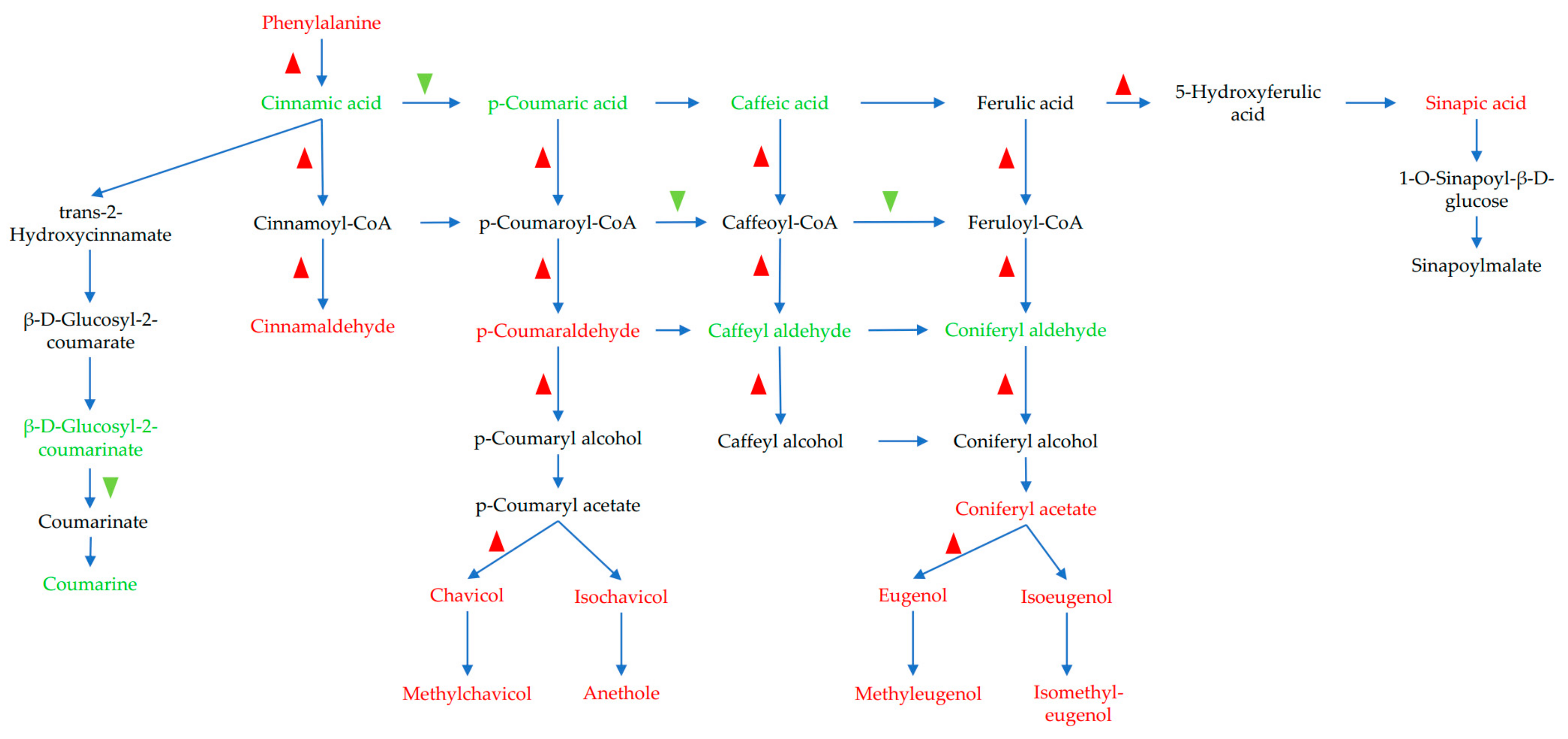 Ijms 21 01789 g007 Ijms 21 01789 g007