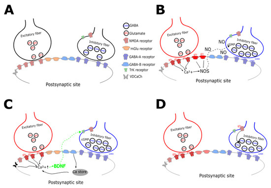 Inhibitory Plasticity: From Molecules to Computation and Beyond