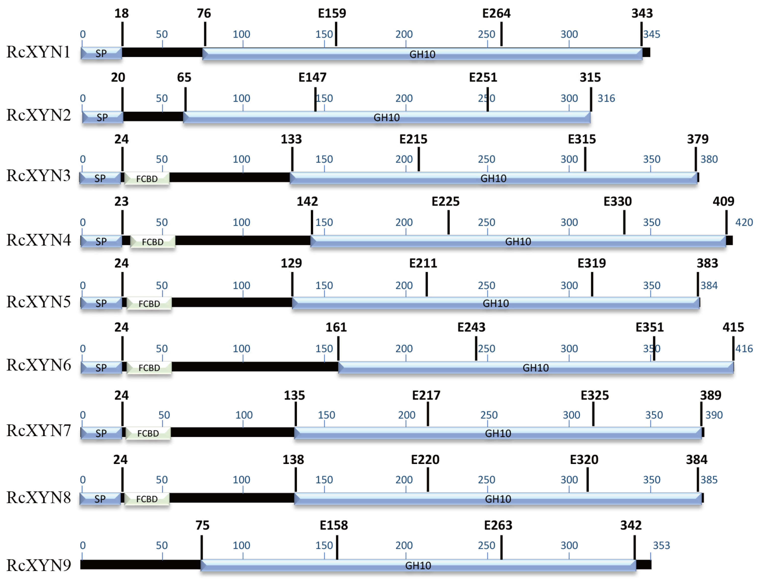 Ijms 21 01812 g001 Ijms 21 01812 g001