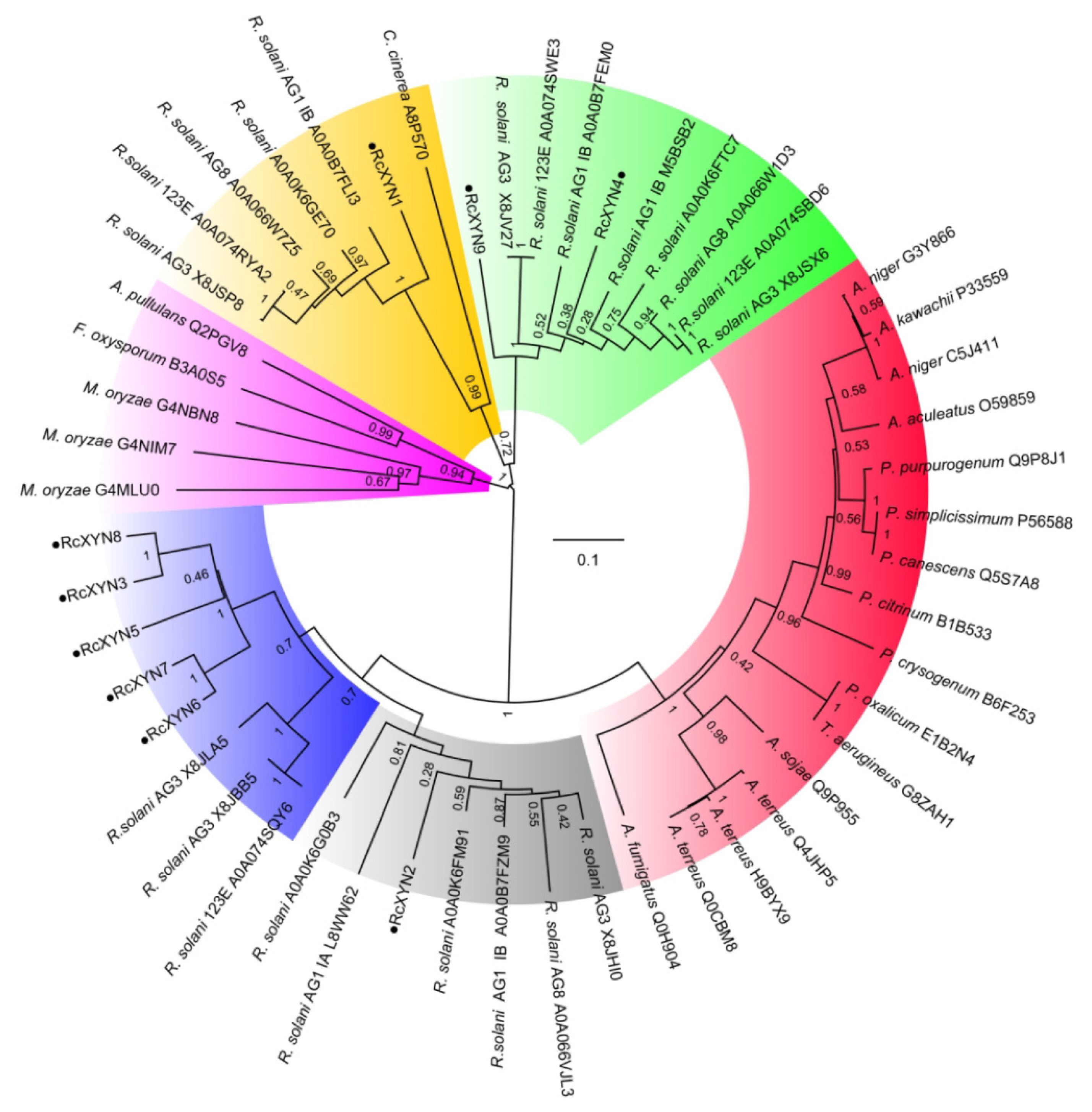 Ijms 21 01812 g003 Ijms 21 01812 g003