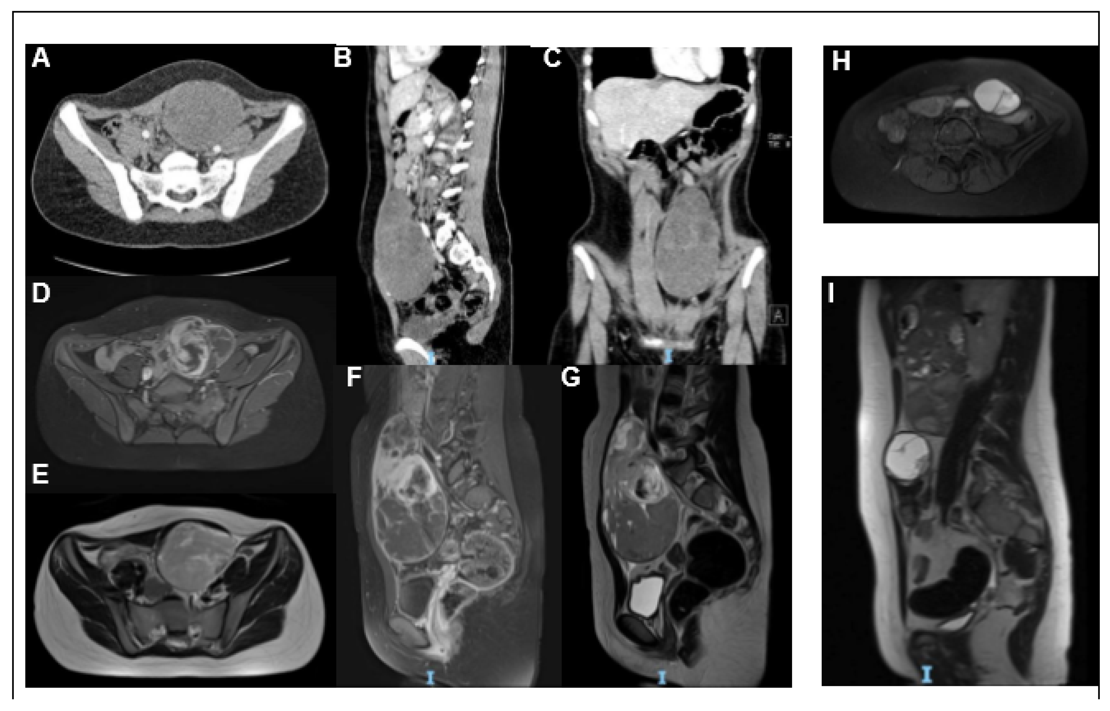 Ijms 21 01818 g001 Ijms 21 01818 g001