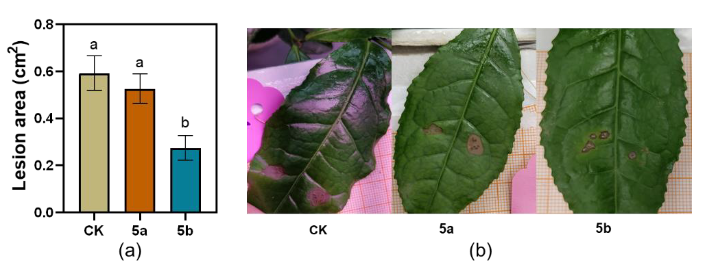 Ijms 21 01828 g002 Ijms 21 01828 g002