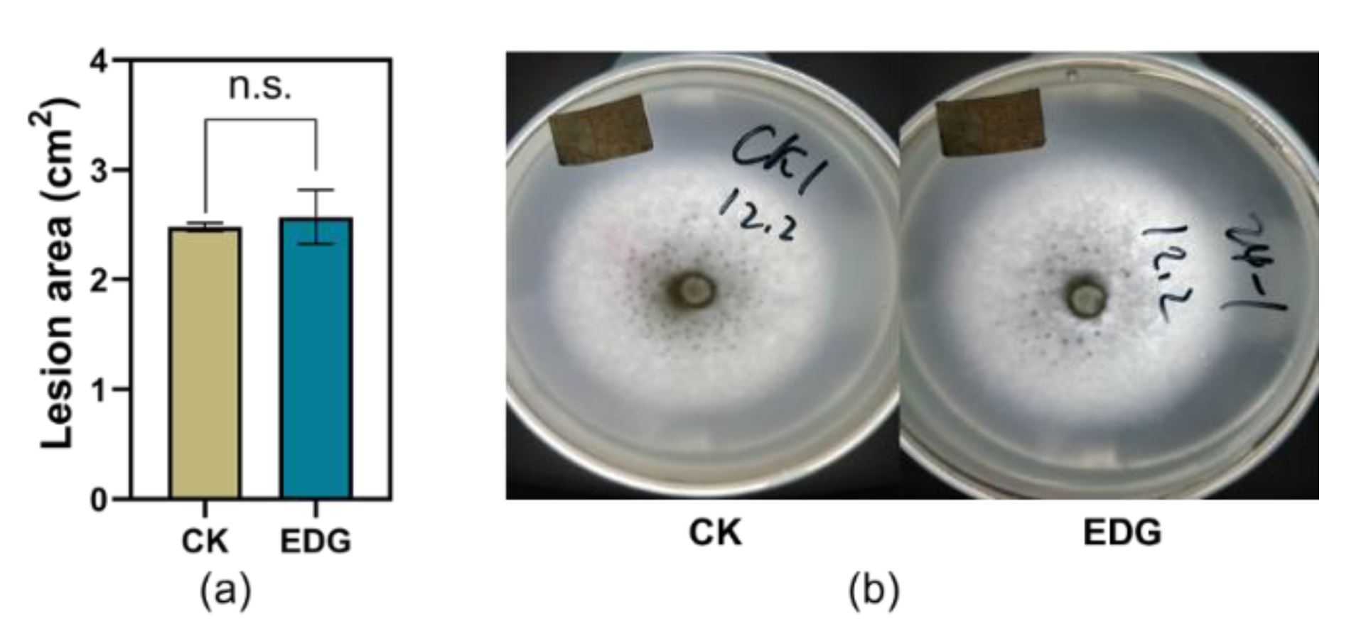 Ijms 21 01828 g007 Ijms 21 01828 g007