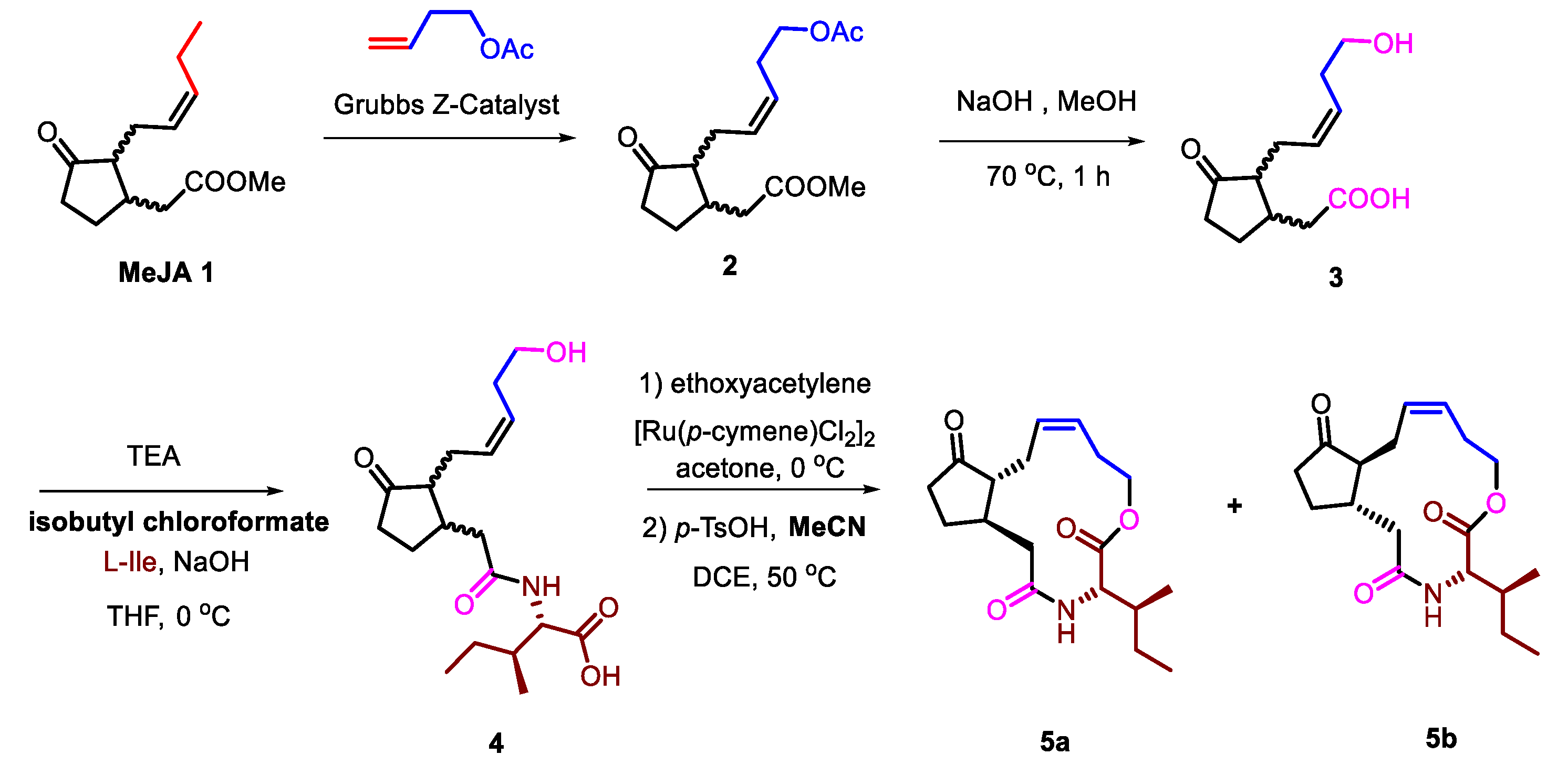 Ijms 21 01828 sch001 Ijms 21 01828 sch001