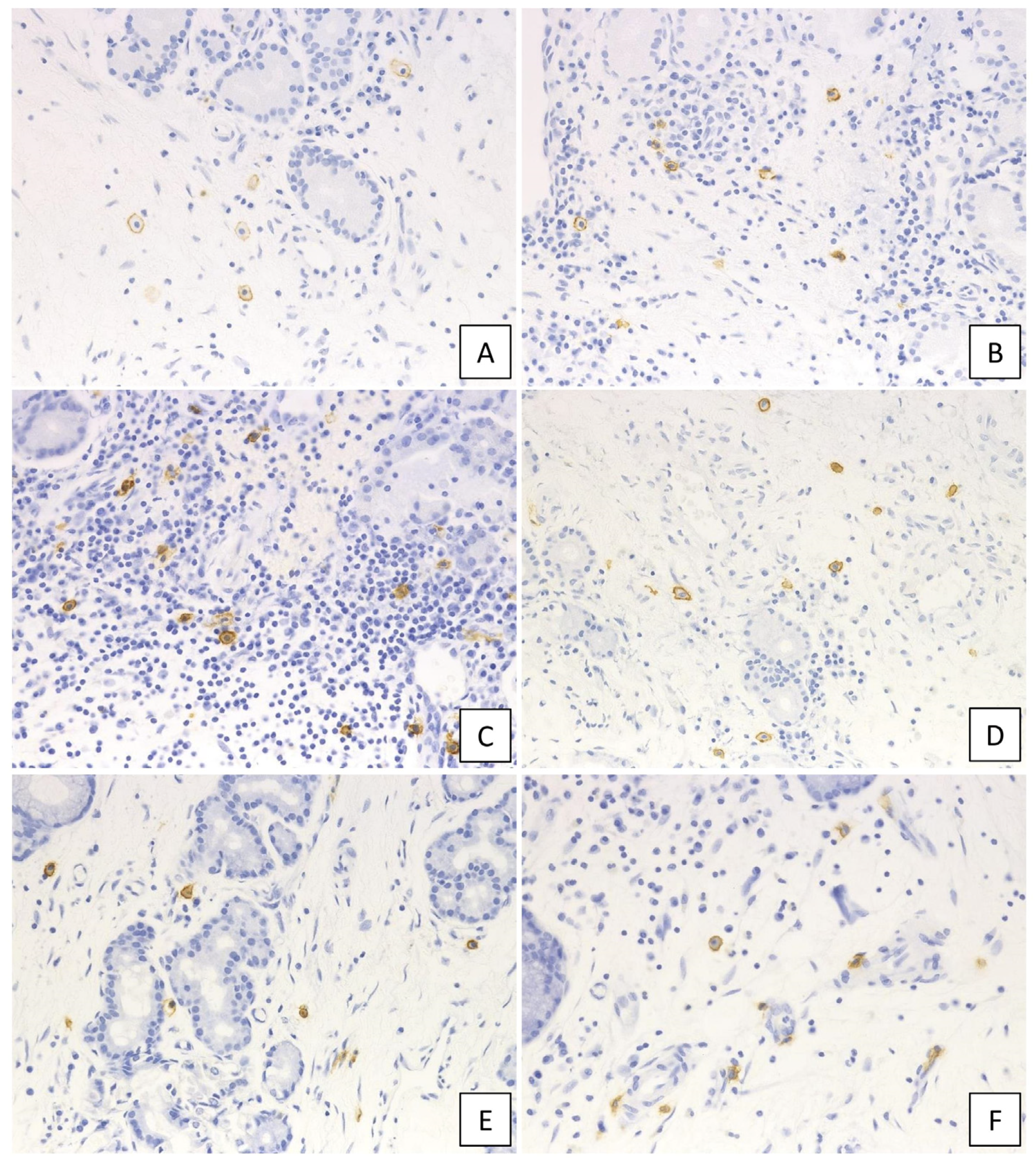 Ijms 21 01843 g002 Ijms 21 01843 g002