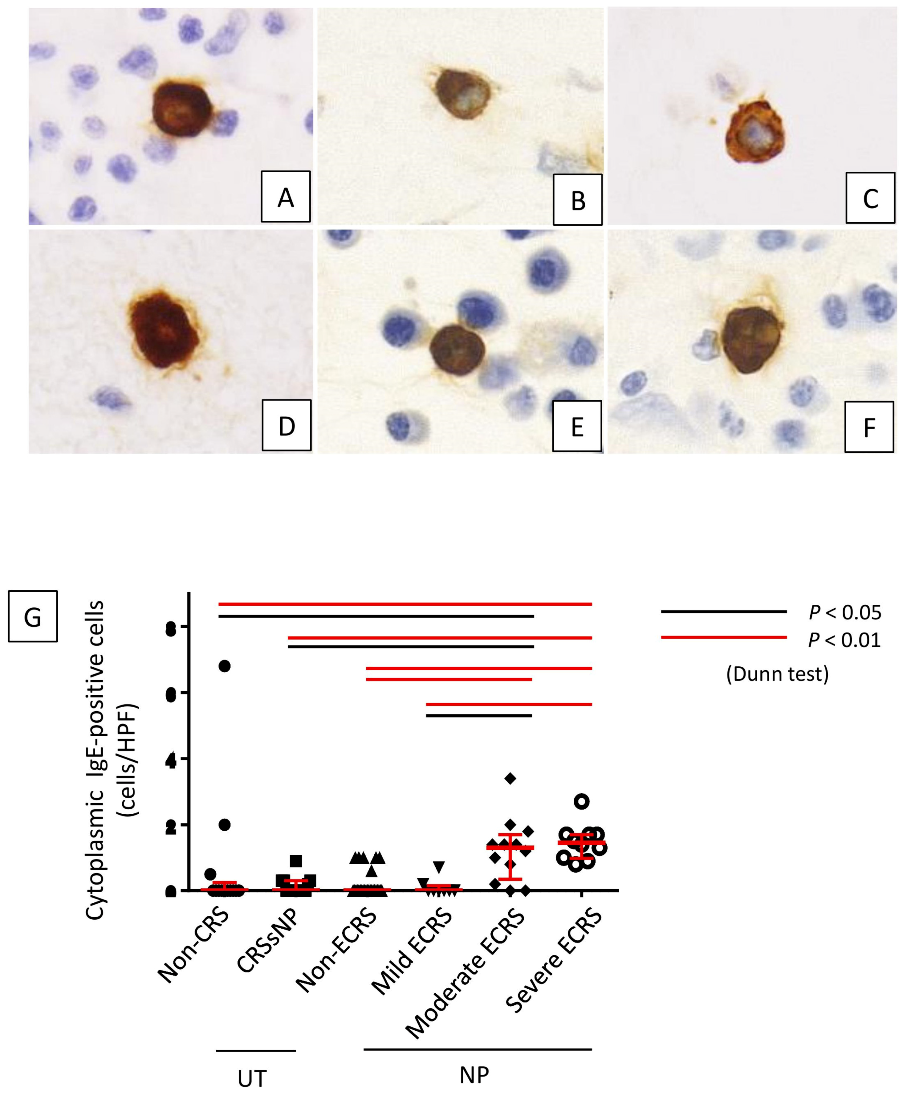 Ijms 21 01843 g006a Ijms 21 01843 g006a