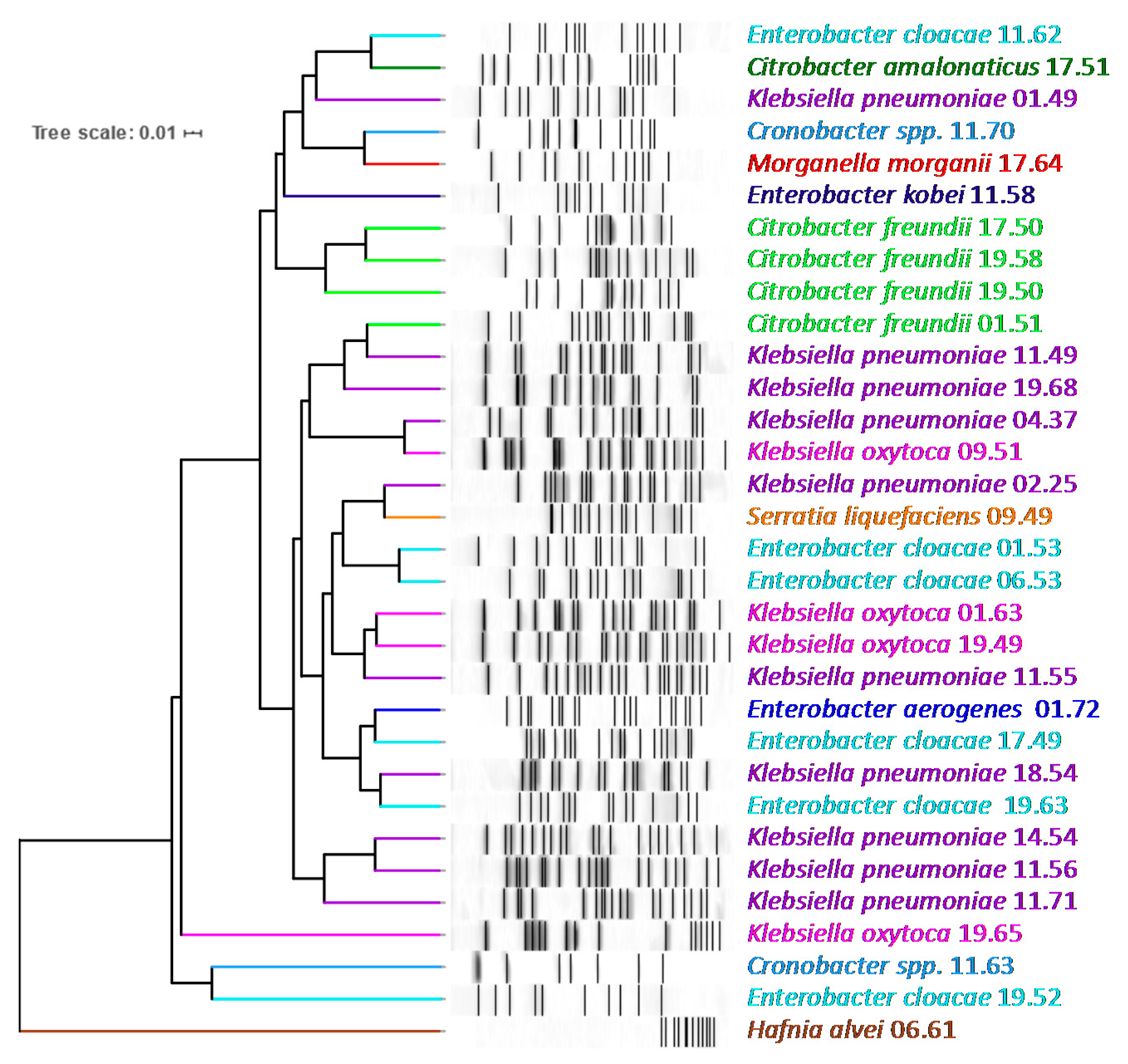 Ijms 21 01847 g002 Ijms 21 01847 g002