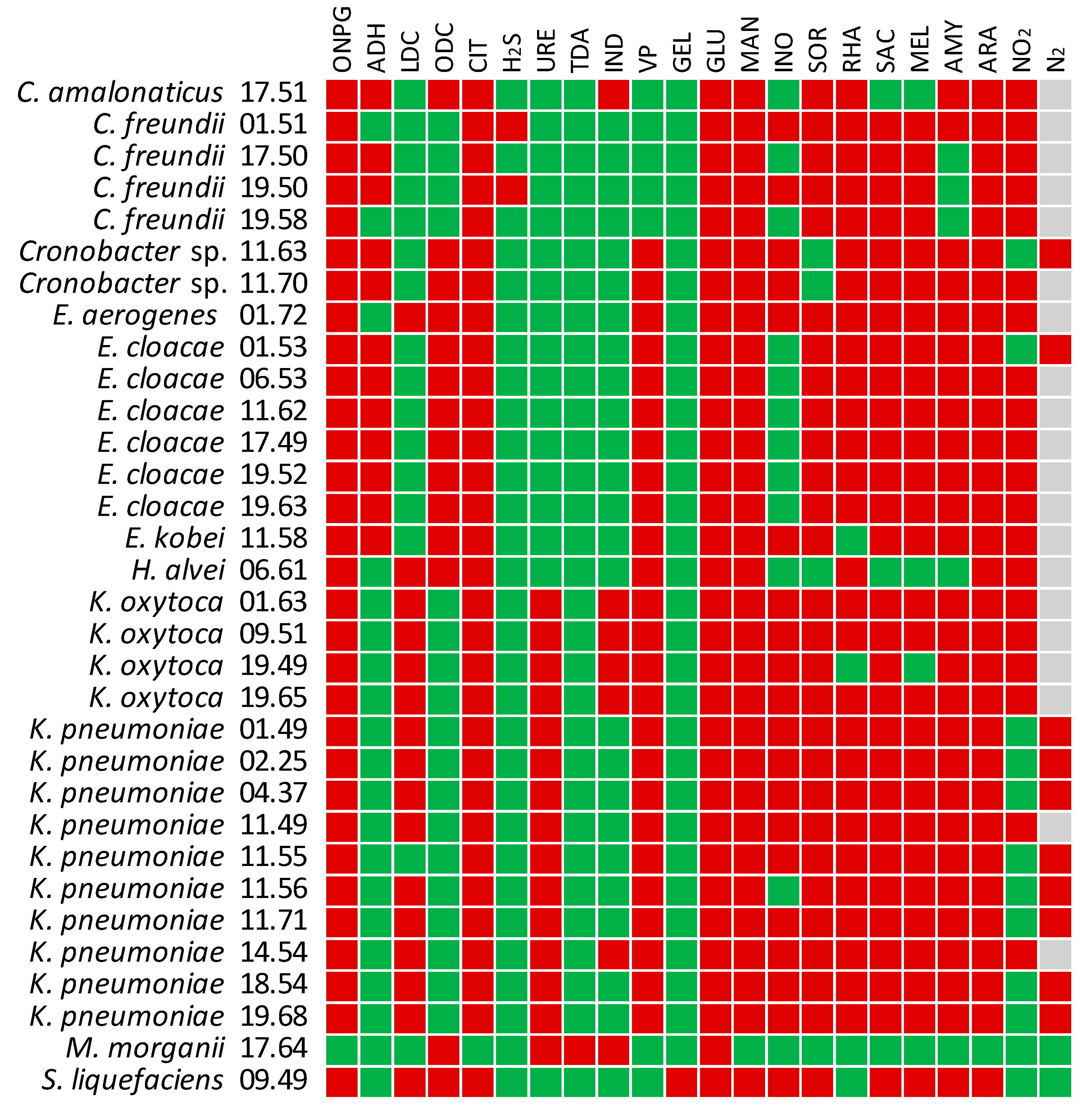 Ijms 21 01847 g005 Ijms 21 01847 g005