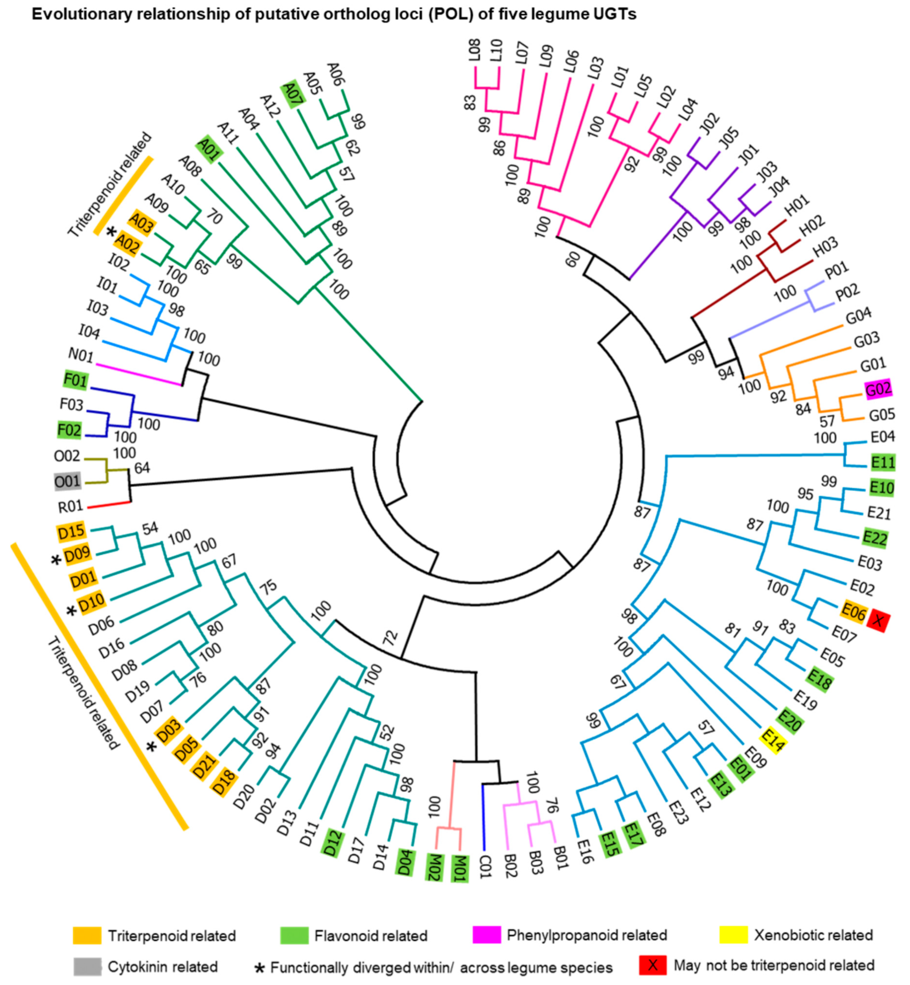 Ijms 21 01855 g001 Ijms 21 01855 g001