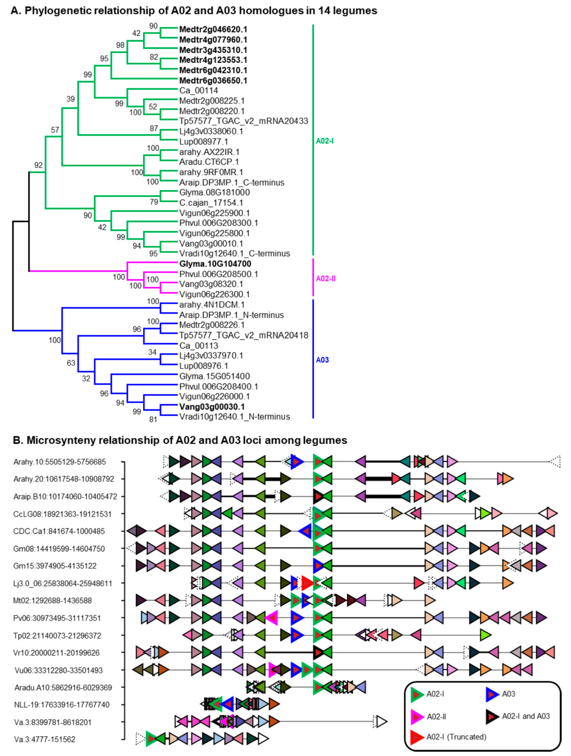 Ijms 21 01855 g002 Ijms 21 01855 g002