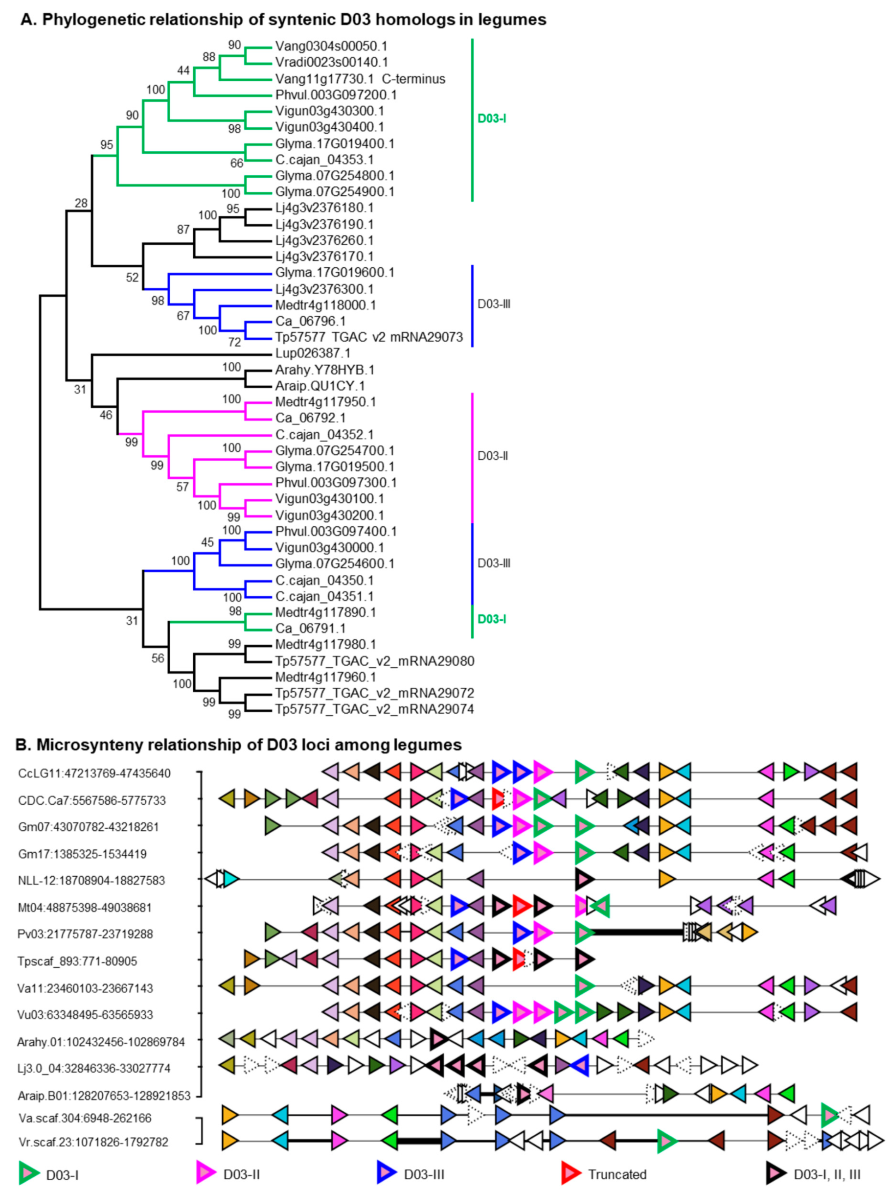 Ijms 21 01855 g003 Ijms 21 01855 g003