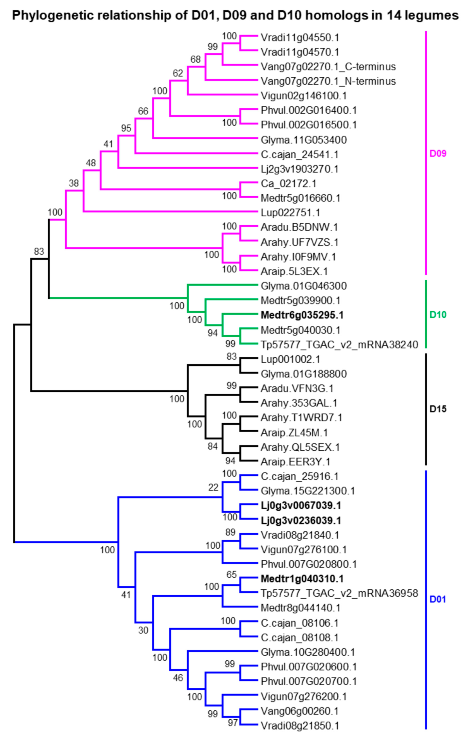 Ijms 21 01855 g004 Ijms 21 01855 g004