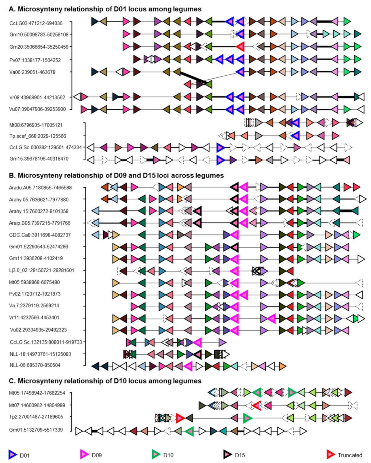 Ijms 21 01855 g005 Ijms 21 01855 g005