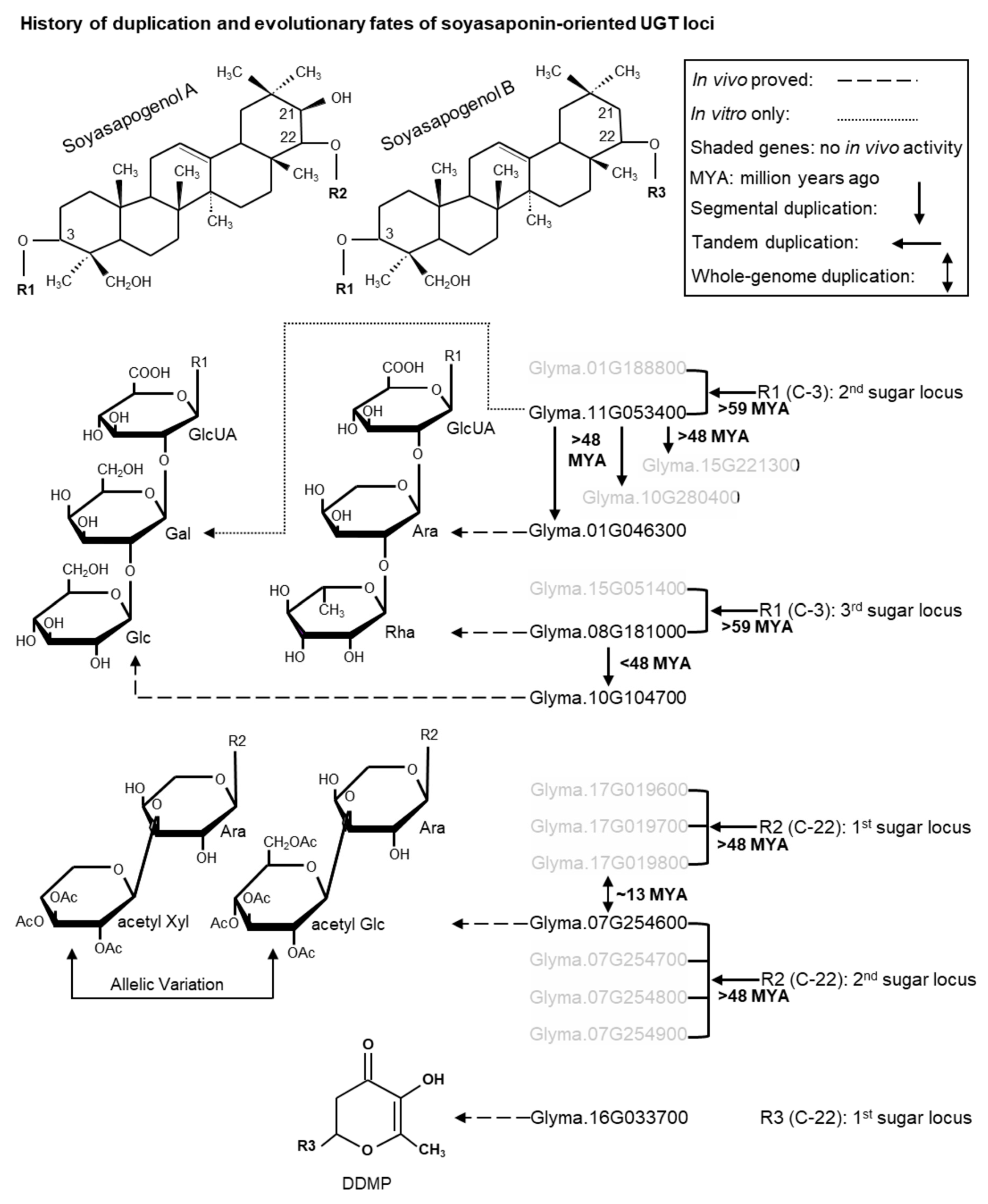 Ijms 21 01855 g006 Ijms 21 01855 g006