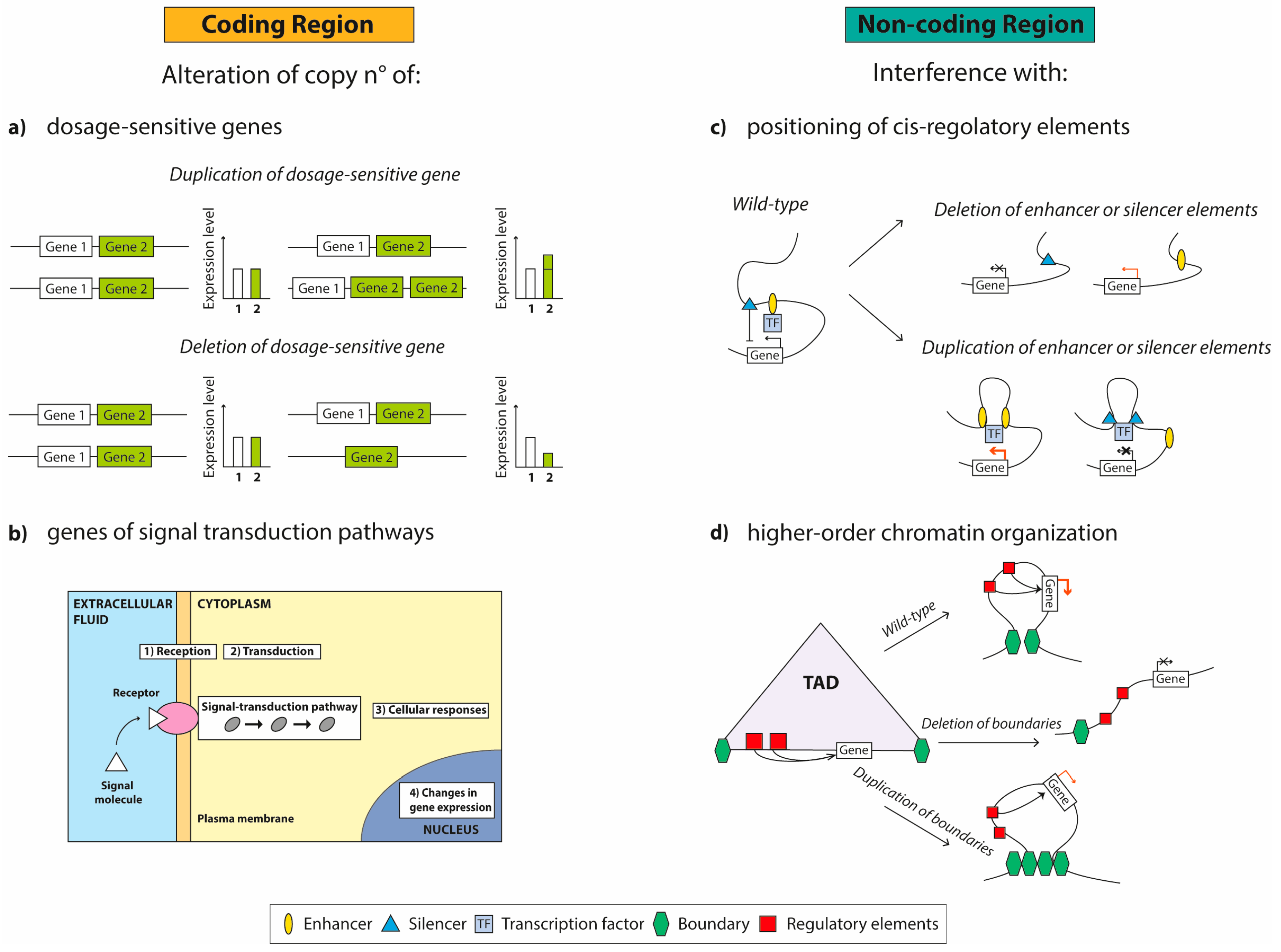 Ijms 21 01860 g001 Ijms 21 01860 g001