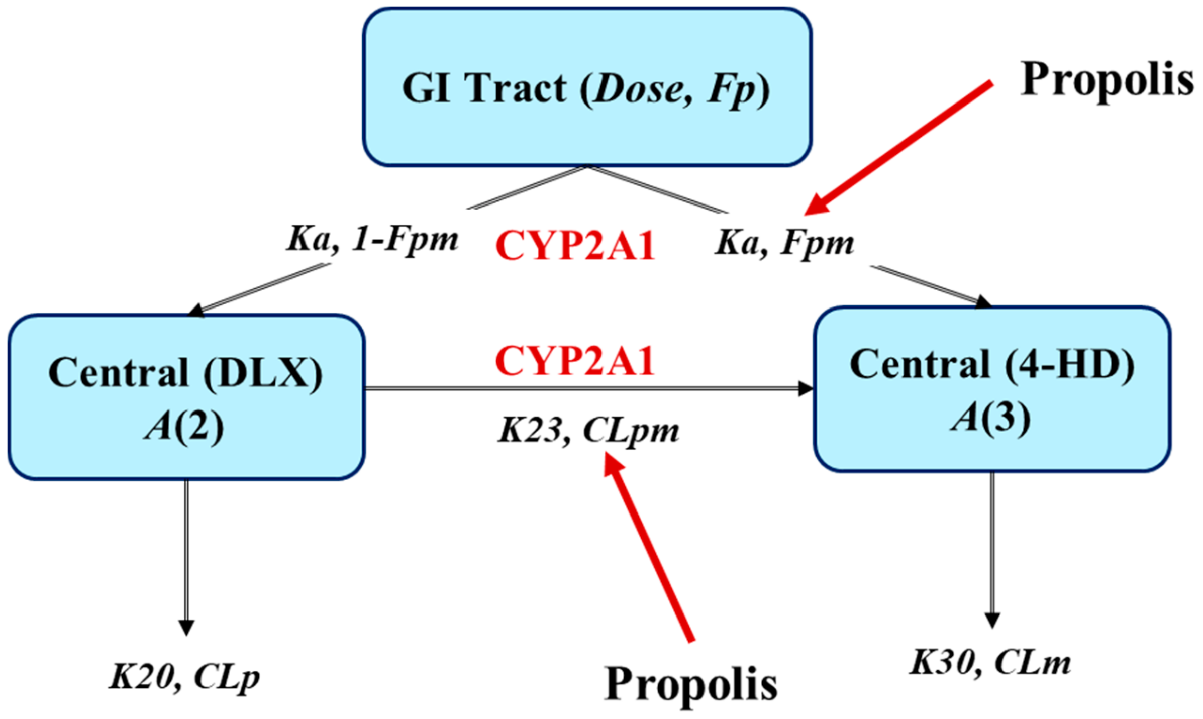 Ijms 21 01862 g001 Ijms 21 01862 g001