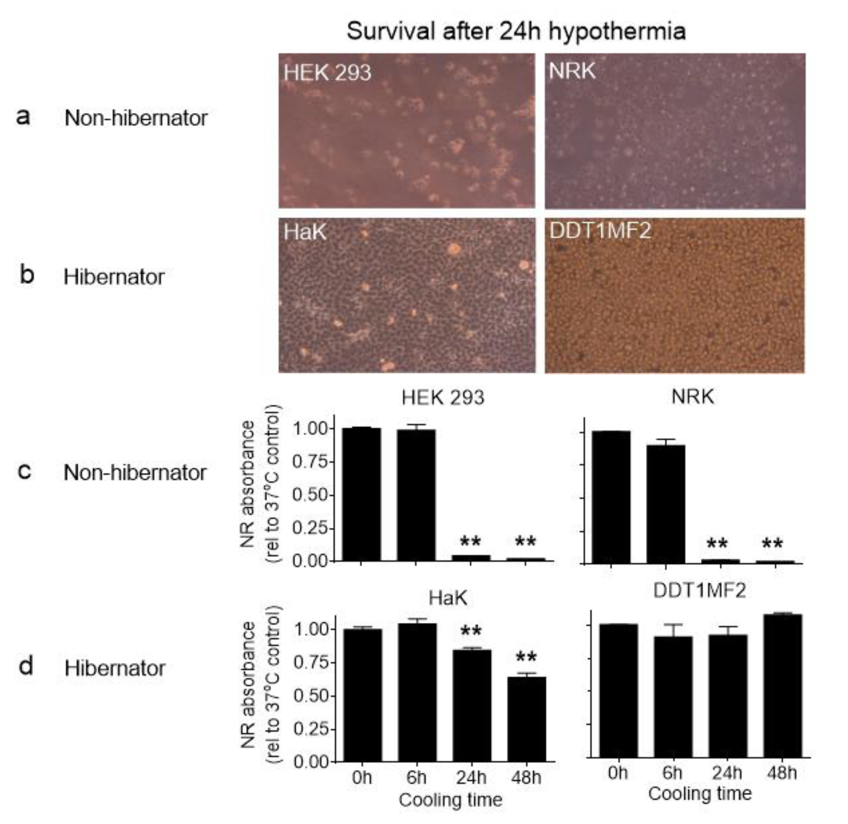 Ijms 21 01864 g001 Ijms 21 01864 g001