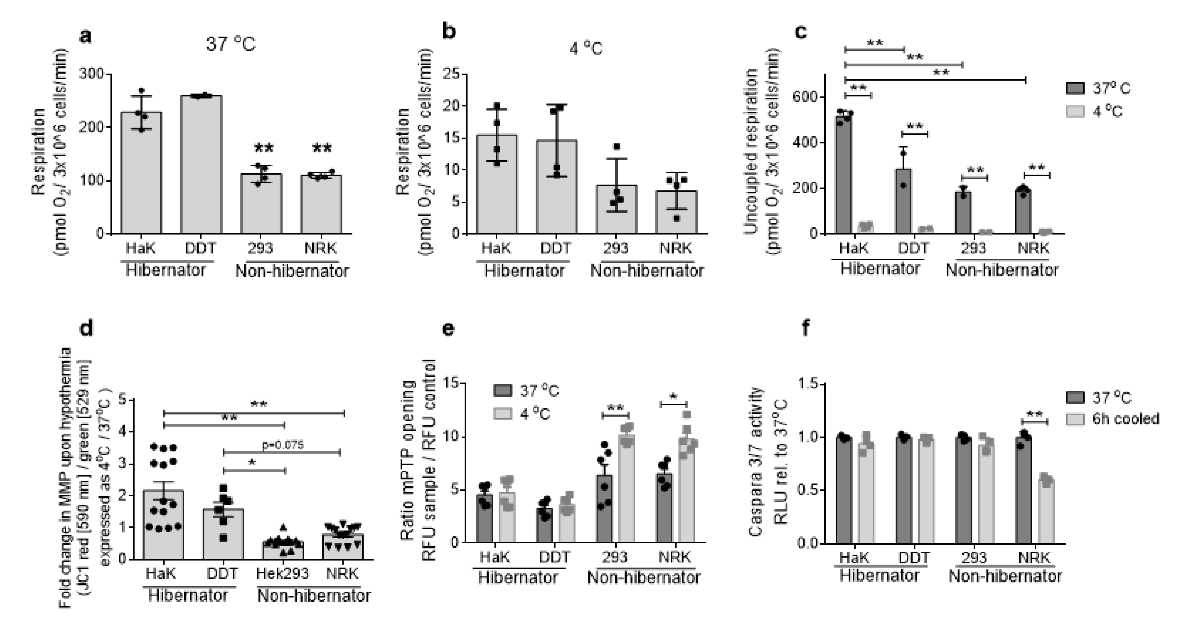 Ijms 21 01864 g002 Ijms 21 01864 g002