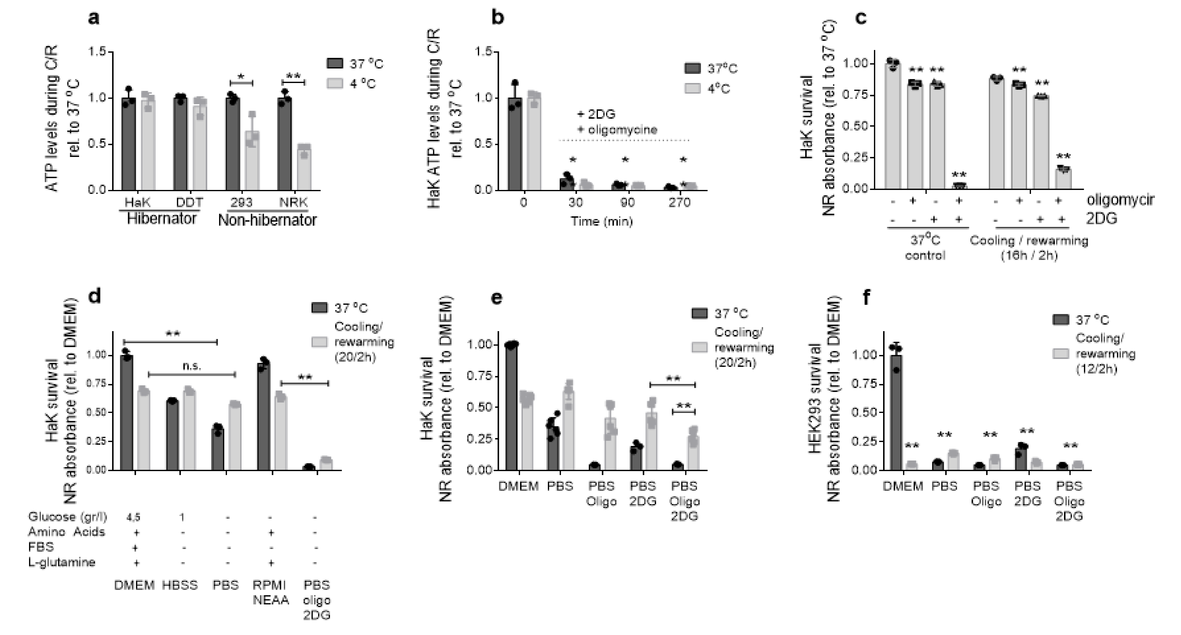 Ijms 21 01864 g004 Ijms 21 01864 g004