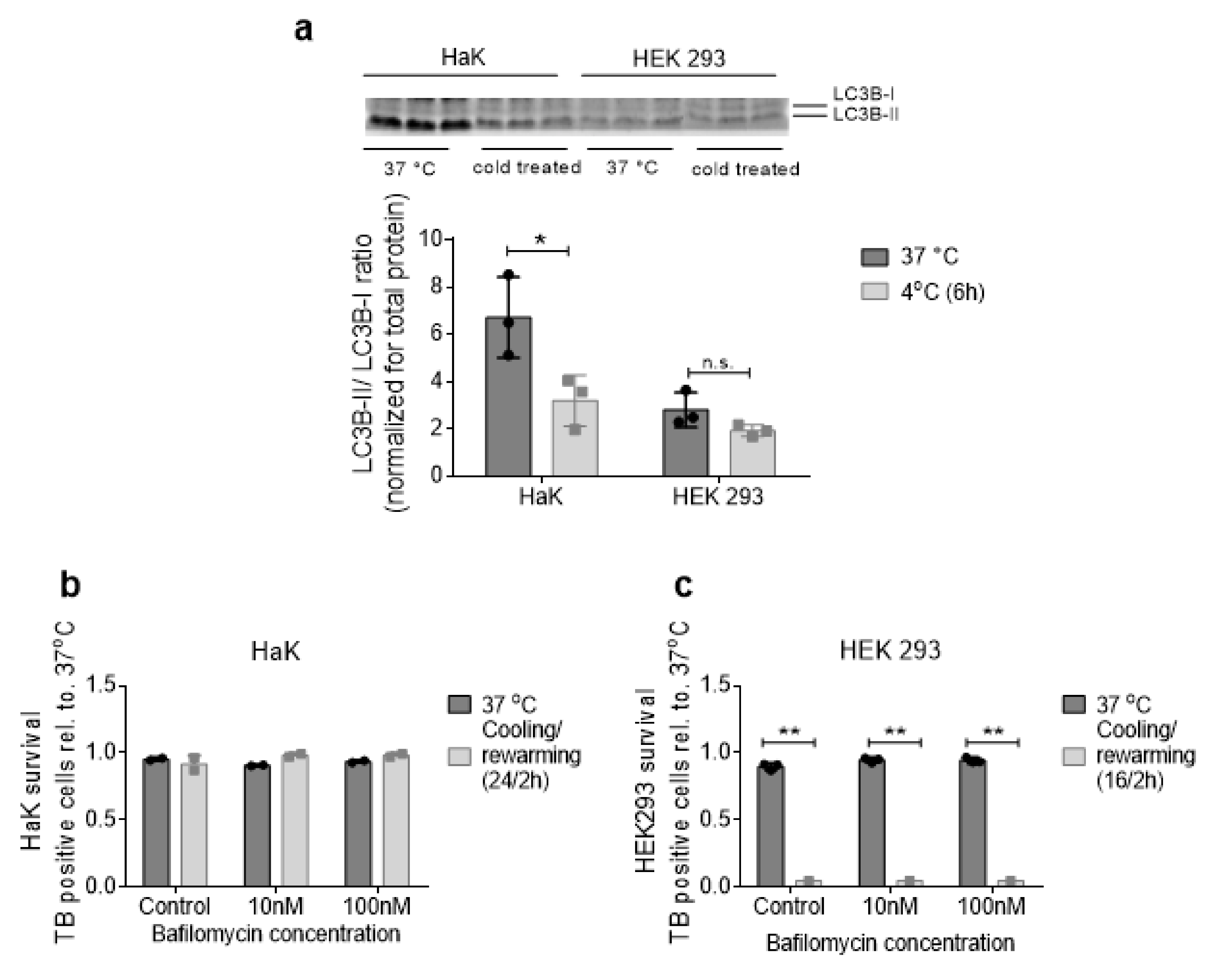 Ijms 21 01864 g005 Ijms 21 01864 g005