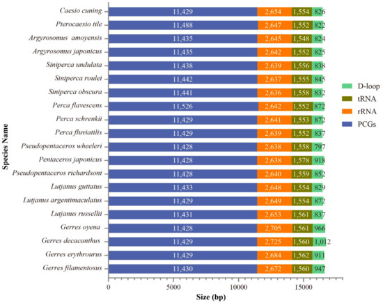 IJMS | Free Full-Text | Comparative Analysis of Complete 