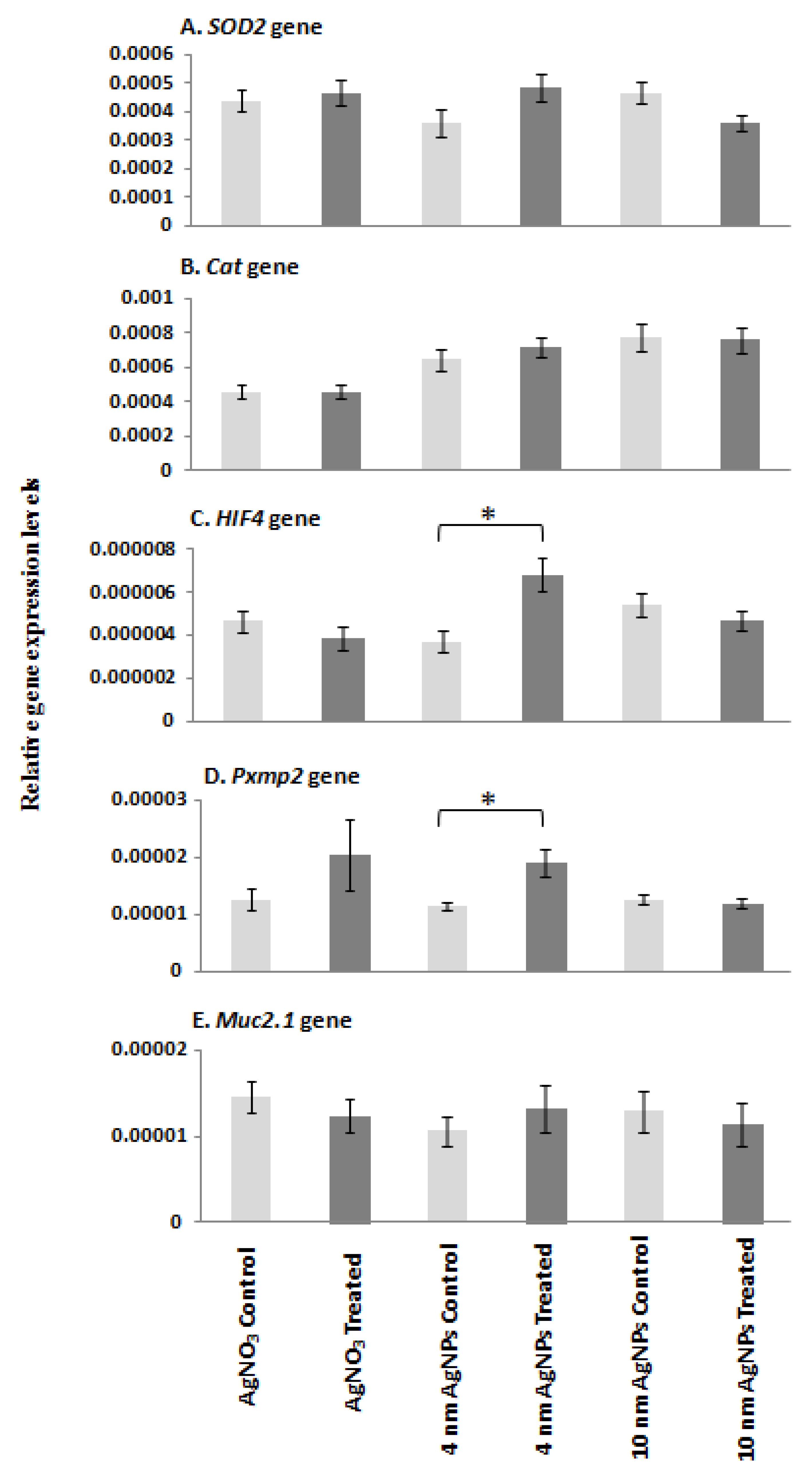 Ijms 21 01876 g005 Ijms 21 01876 g005