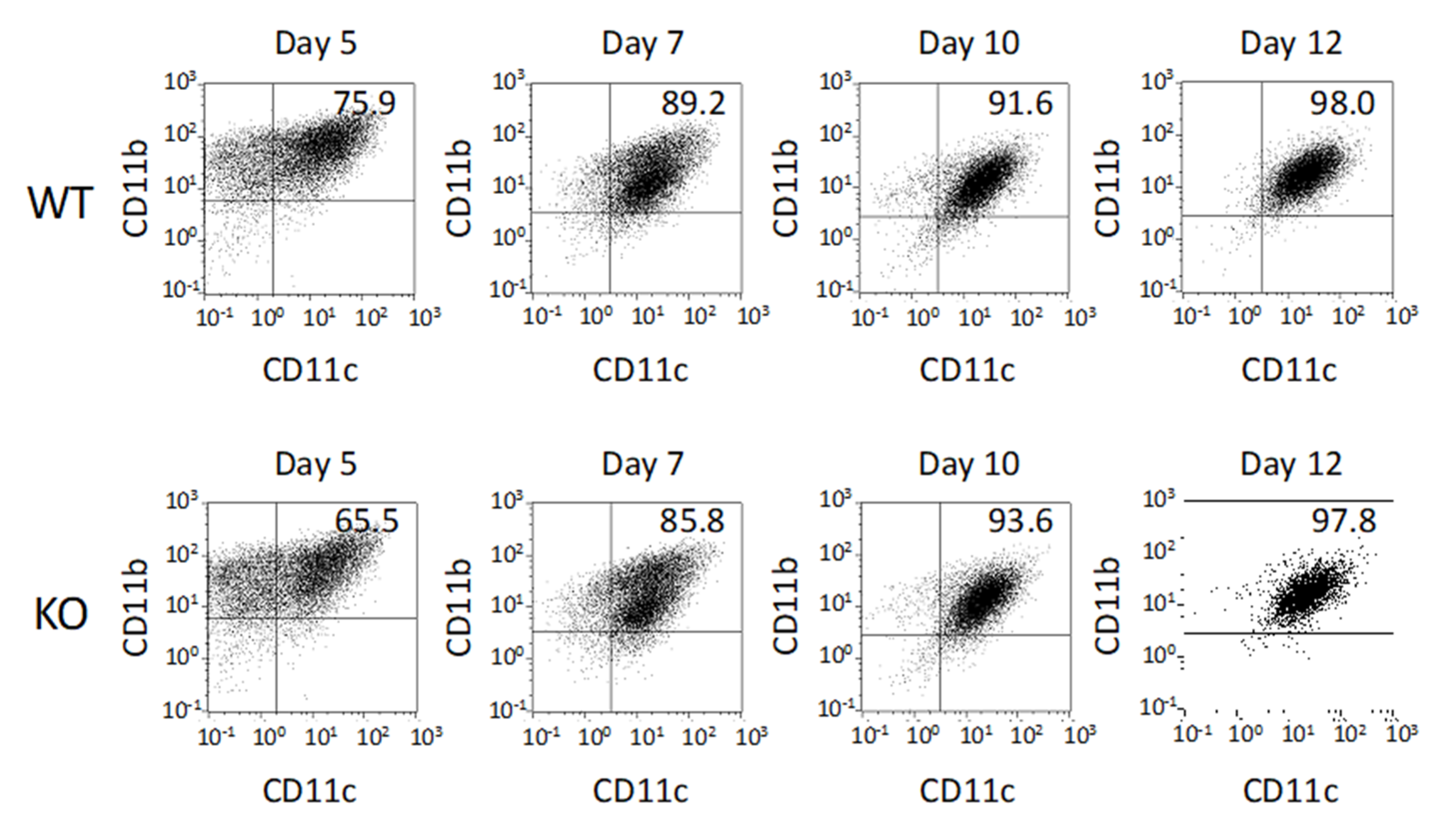 Ijms 21 01890 g001 Ijms 21 01890 g001