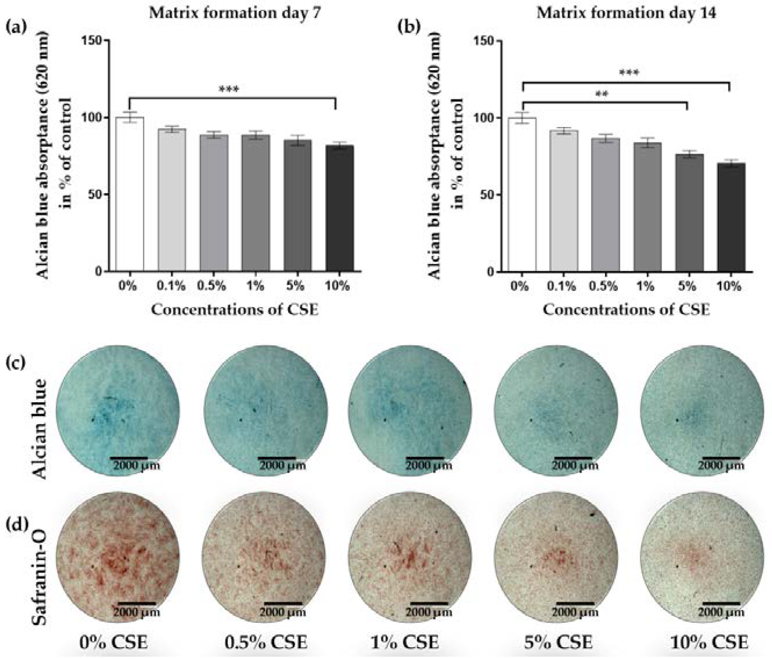 Ijms 21 01901 g002 Ijms 21 01901 g002