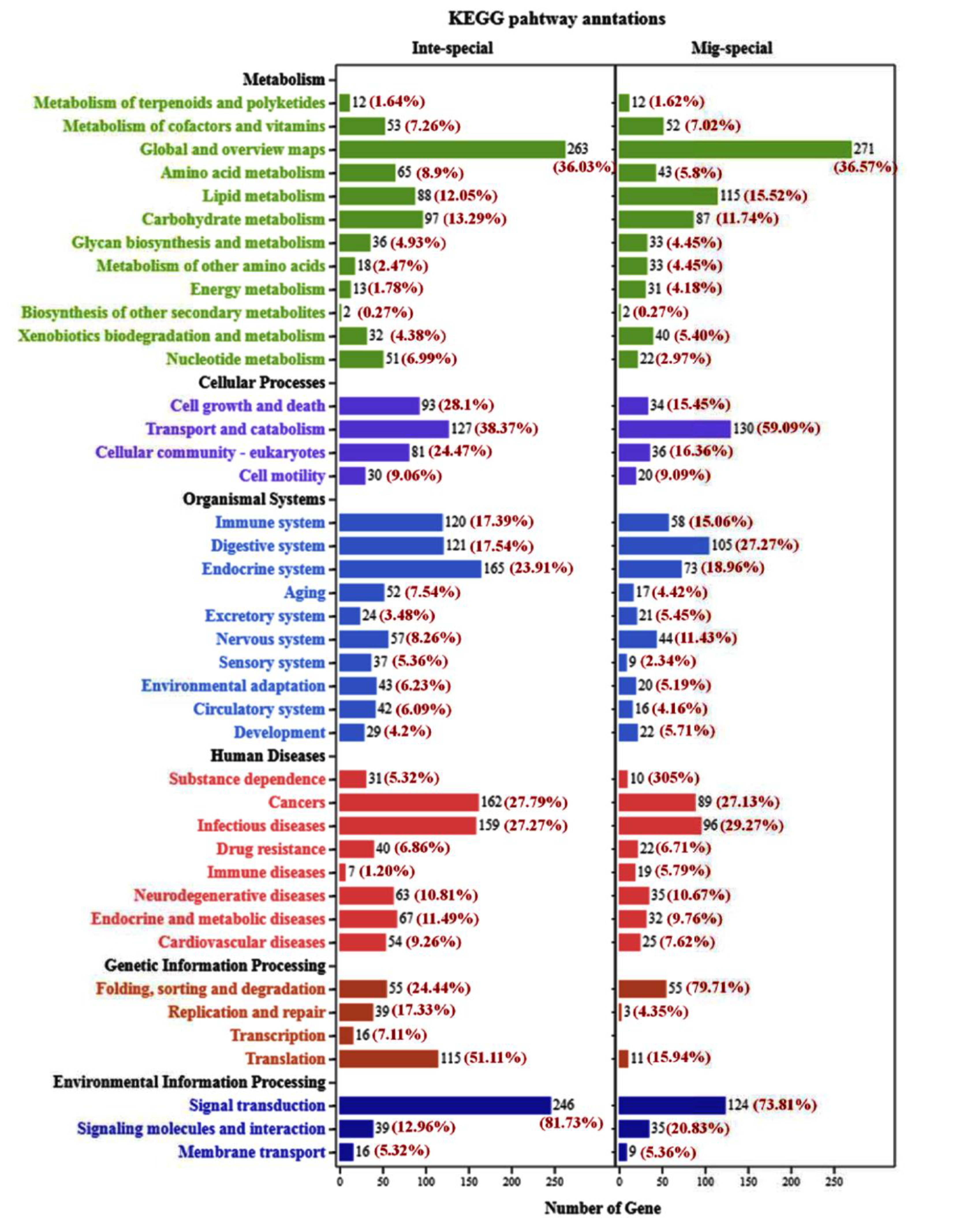 Ijms 21 01904 g001 Ijms 21 01904 g001