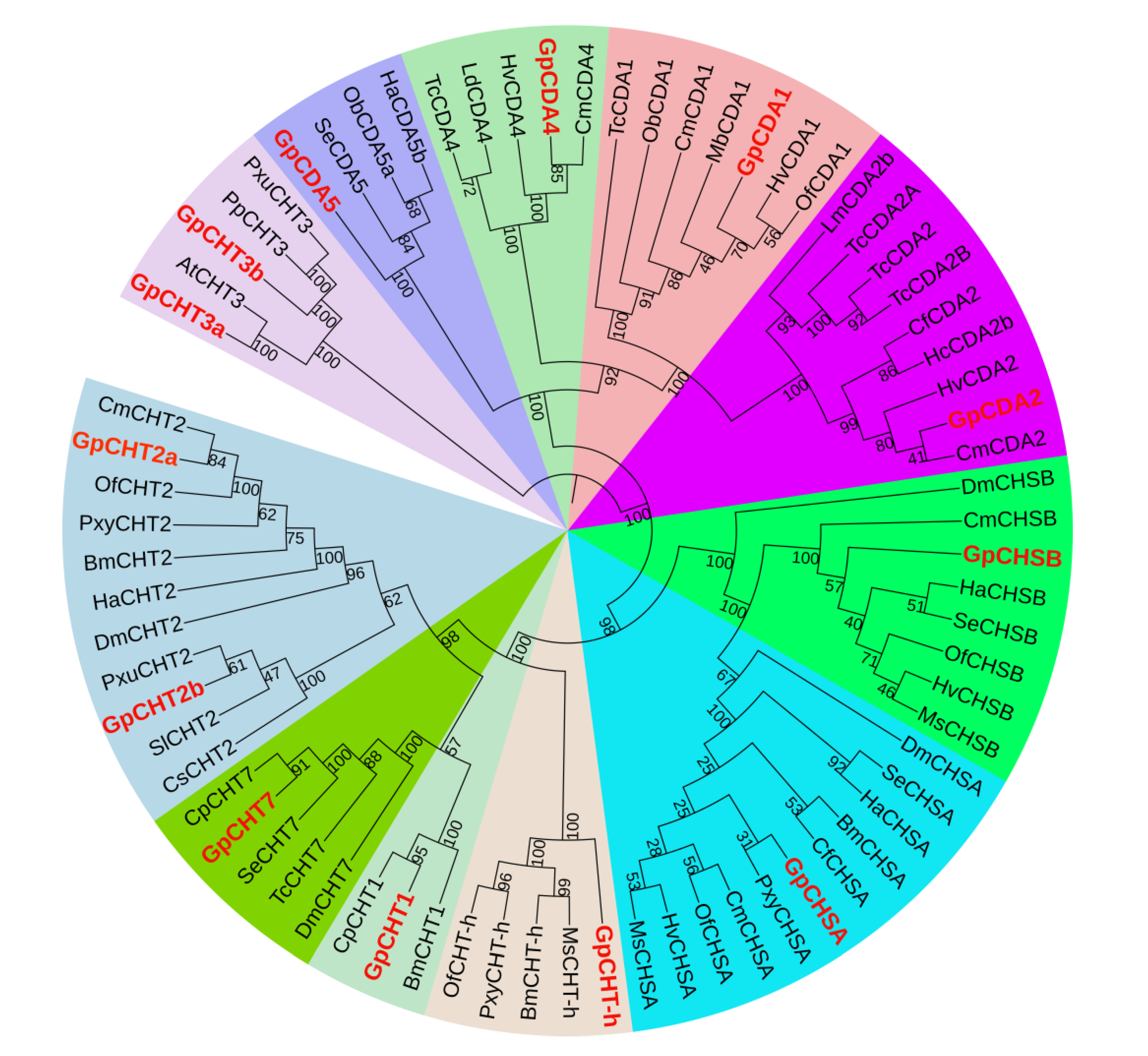 Ijms 21 01904 g003 Ijms 21 01904 g003