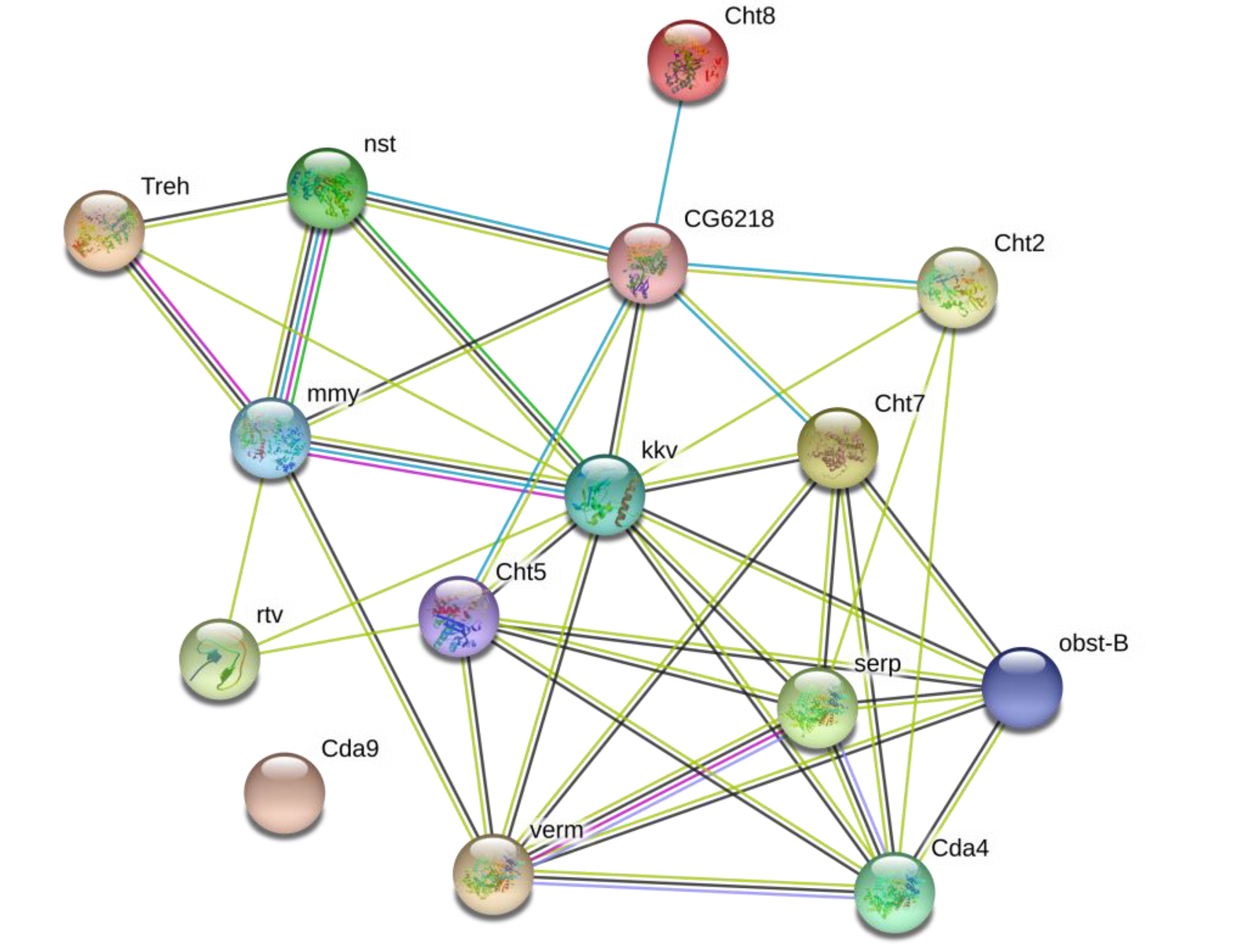 Ijms 21 01904 g004 Ijms 21 01904 g004