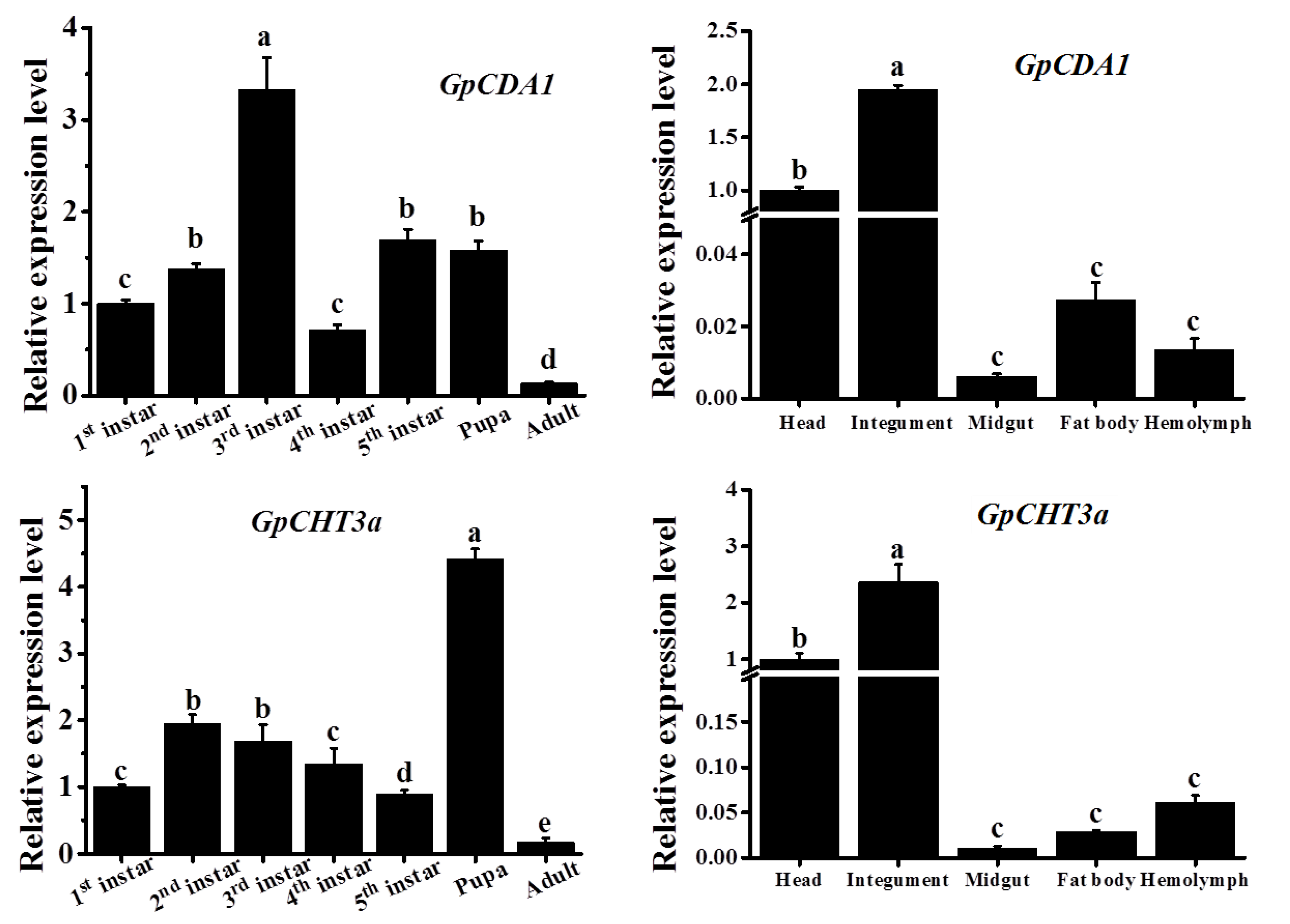 Ijms 21 01904 g005 Ijms 21 01904 g005