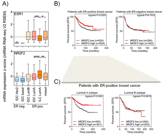 Ijms Free Full Text Nr2f2 Orphan Nuclear Receptor Is Involved In Estrogen Receptor Alpha Mediated Transcriptional Regulation In Luminal A Breast Cancer Cells Html